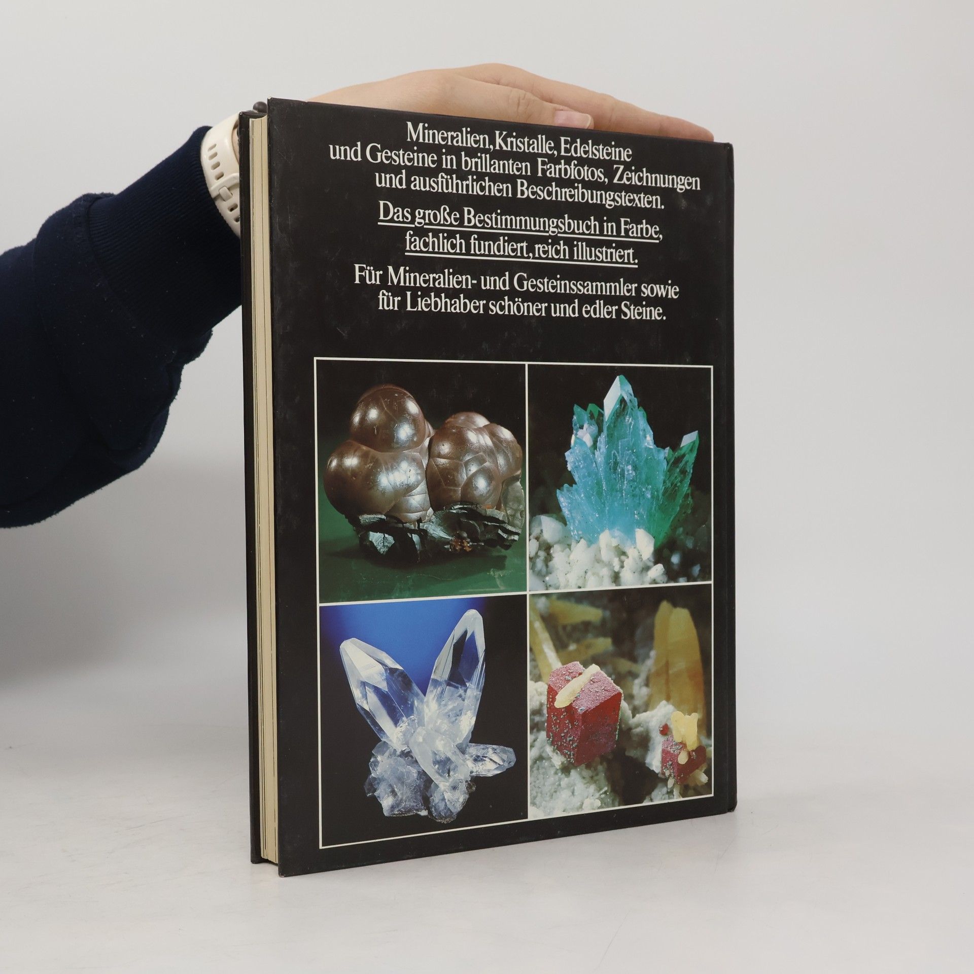 Rupert Hochleitner Fotoatlas der Mineralien und Gesteine