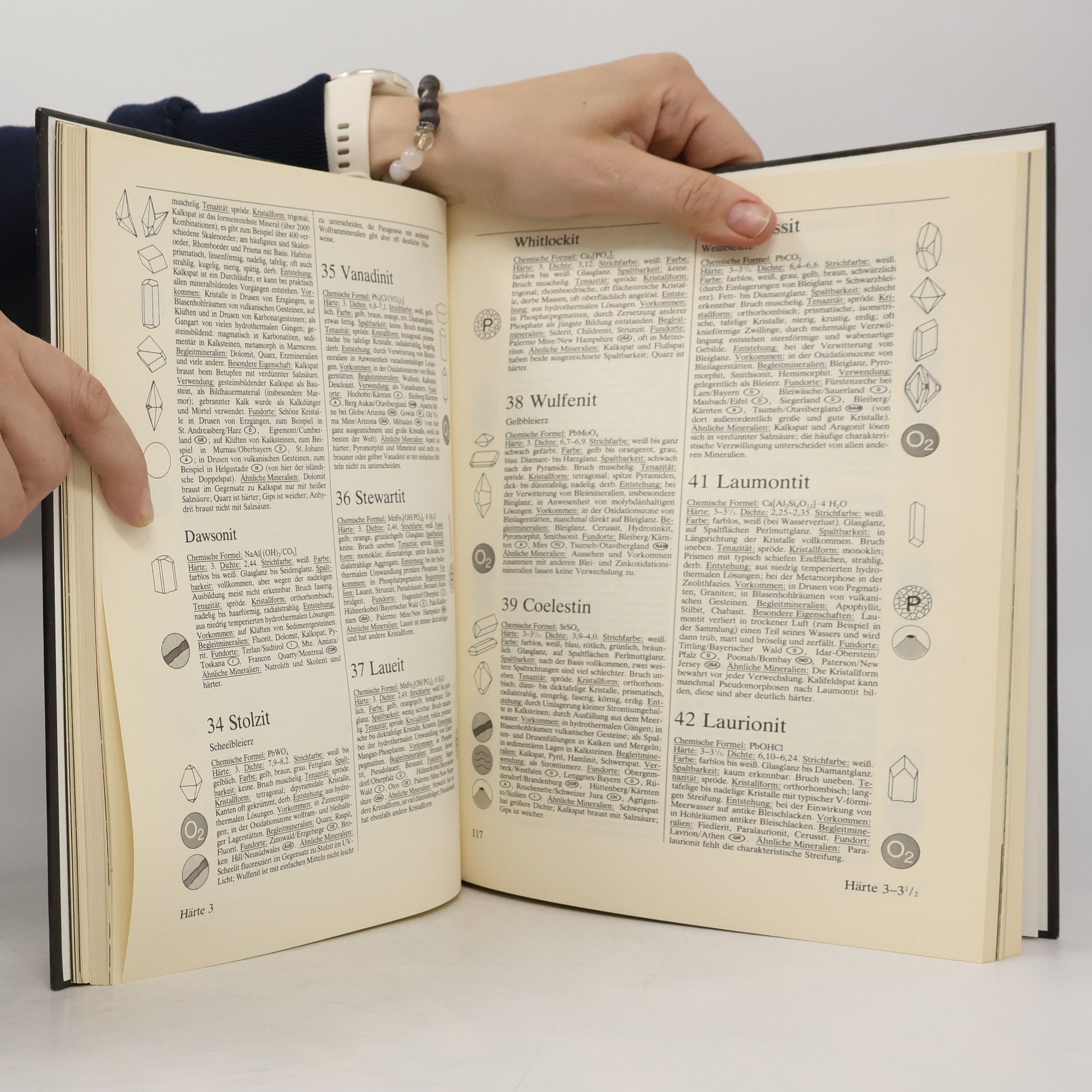 Rupert Hochleitner Fotoatlas der Mineralien und Gesteine