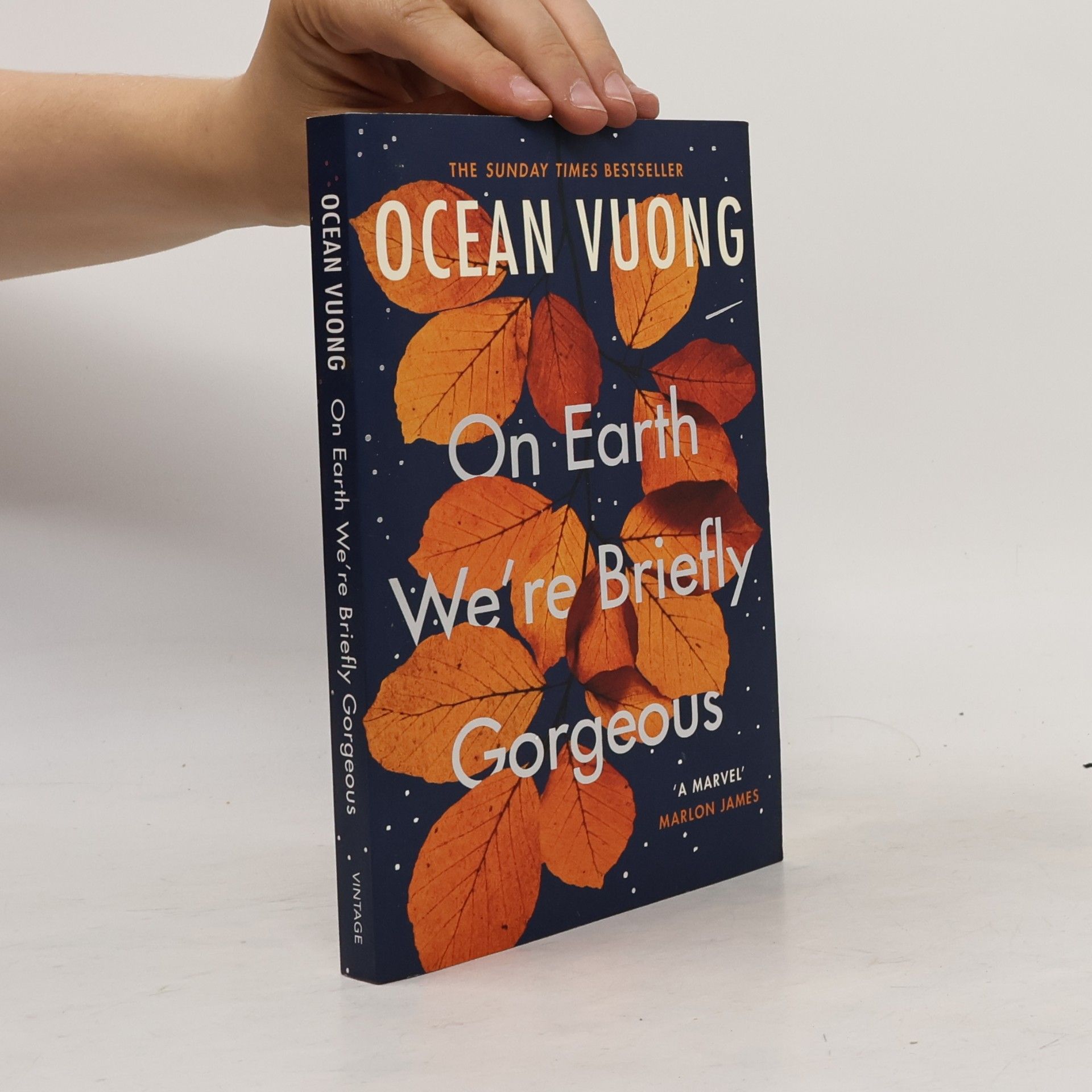 Ocean Vuong On Earth We're Briefly Gorgeous