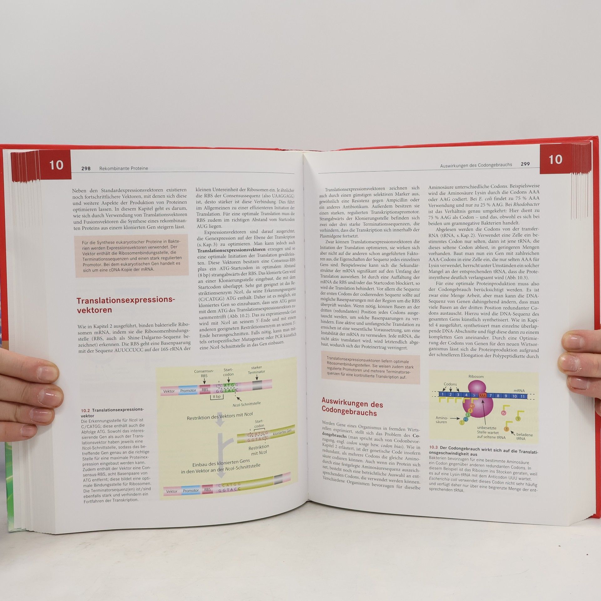David P. Clark Molekulare Biotechnologie
