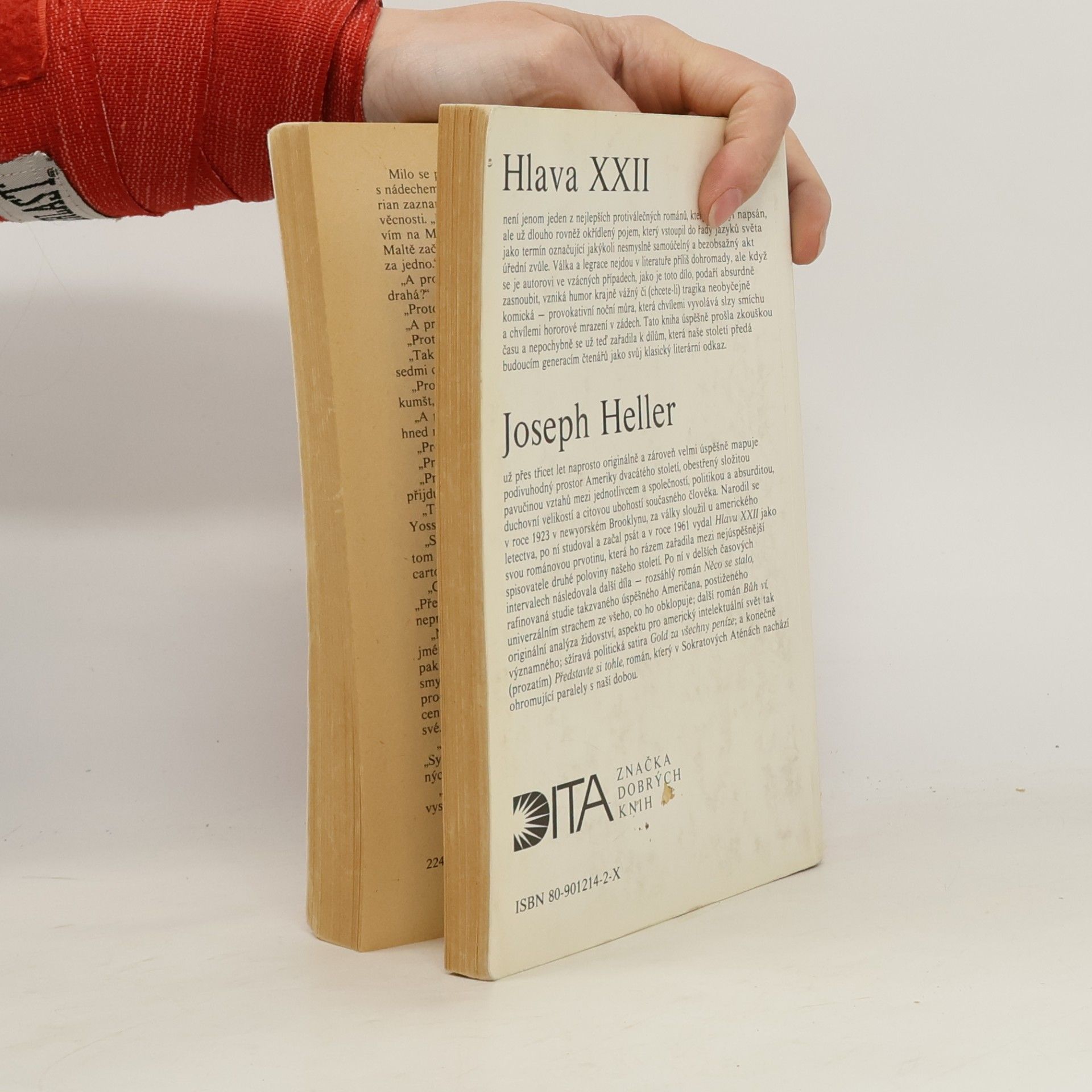 Joseph Heller Hlava XXII
