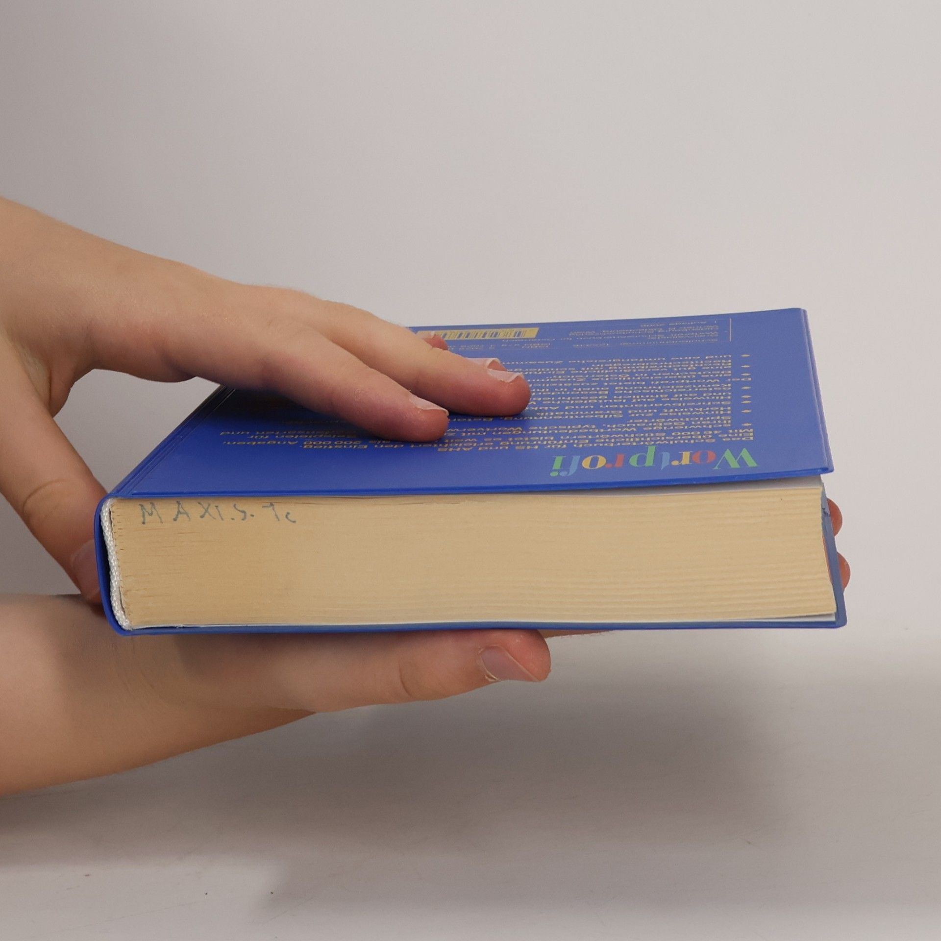 Josef Greil Wortprofi - Schulwörterbuch für Österreich