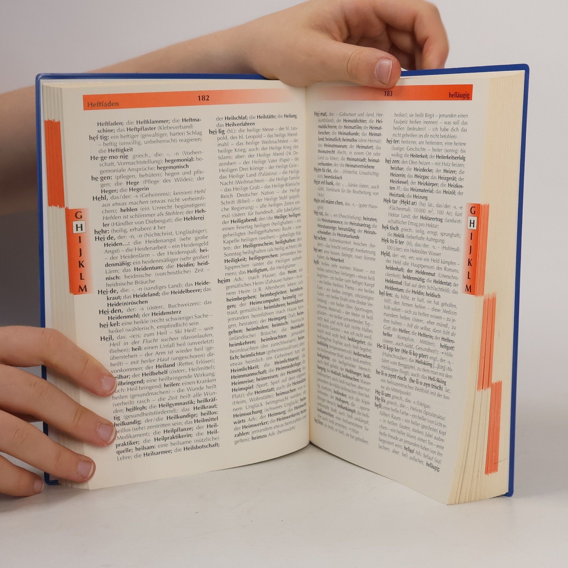 Josef Greil Wortprofi - Schulwörterbuch für Österreich