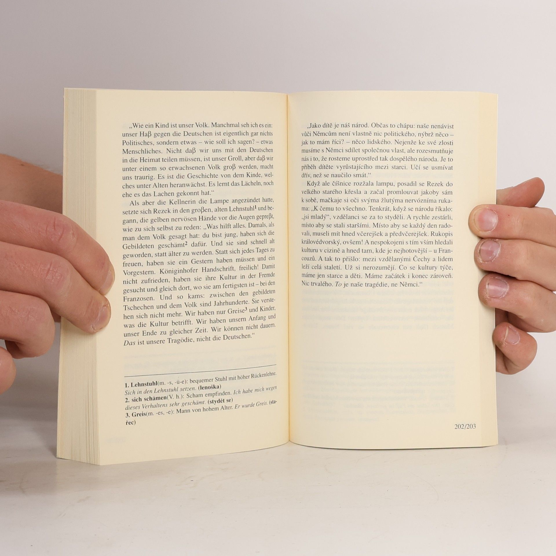Rainer Maria Rilke Dvě pražské povídky. Zwei Prager Geschichten