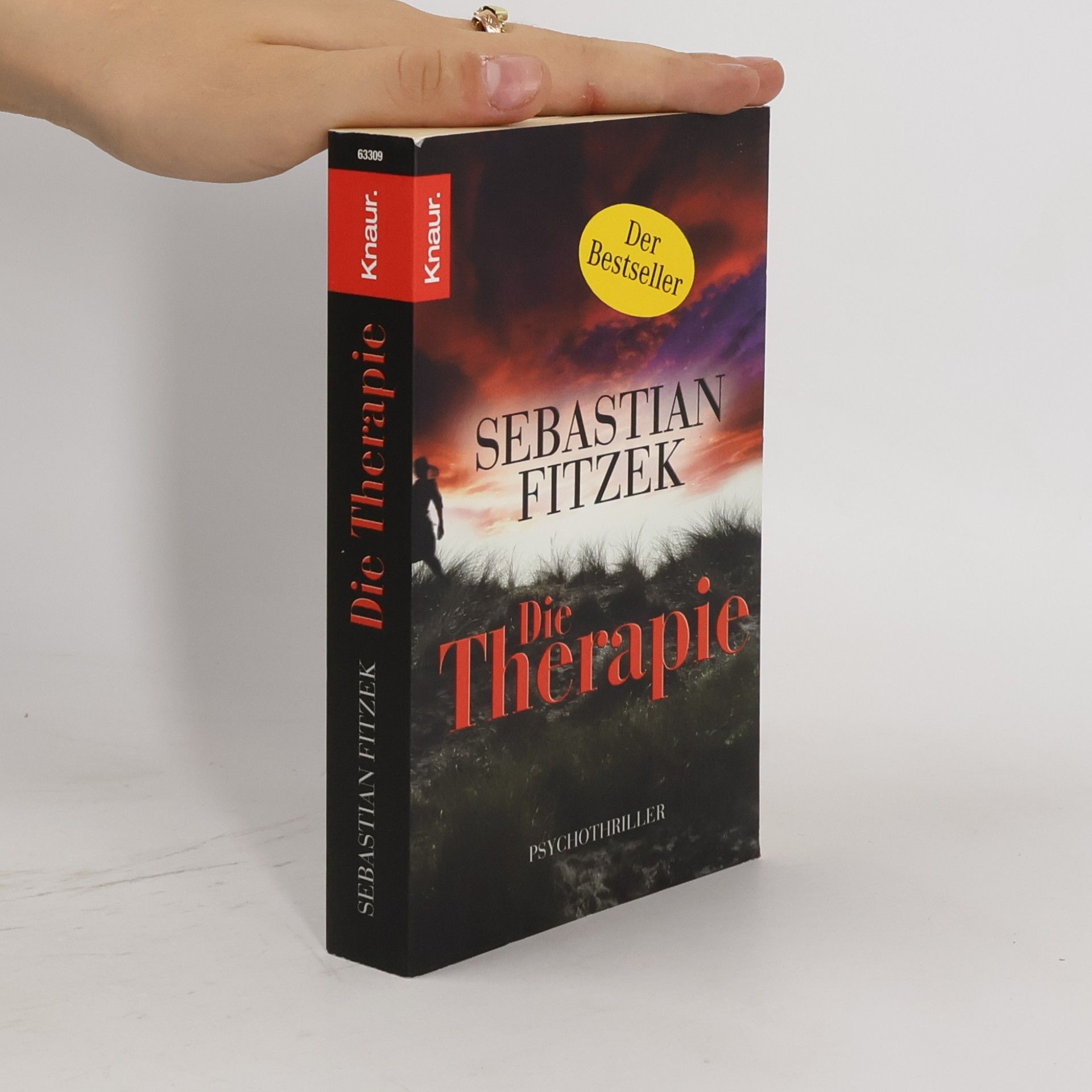 Sebastian Fitzek Die Therapie
