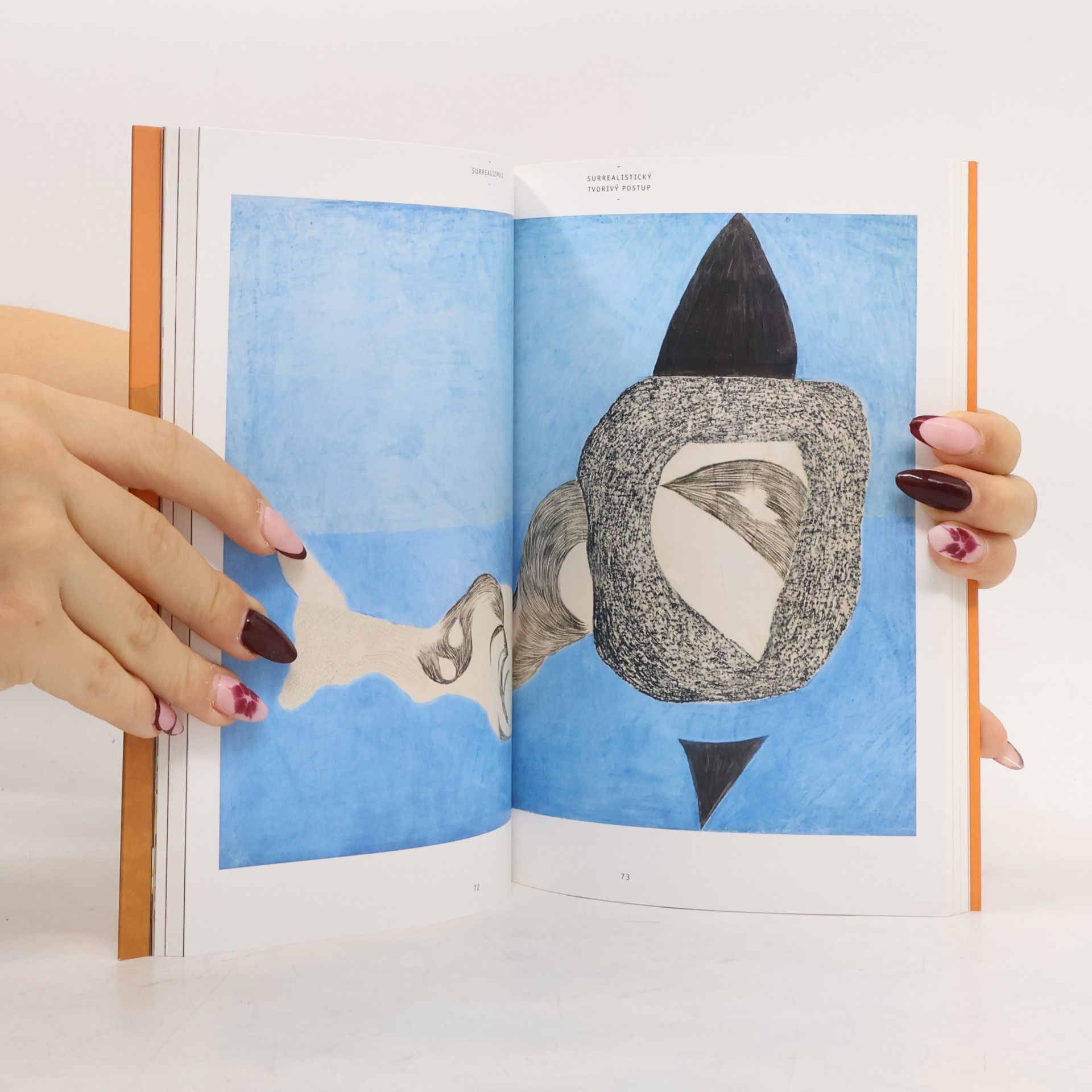 Amy Dempsey Surrealizmus