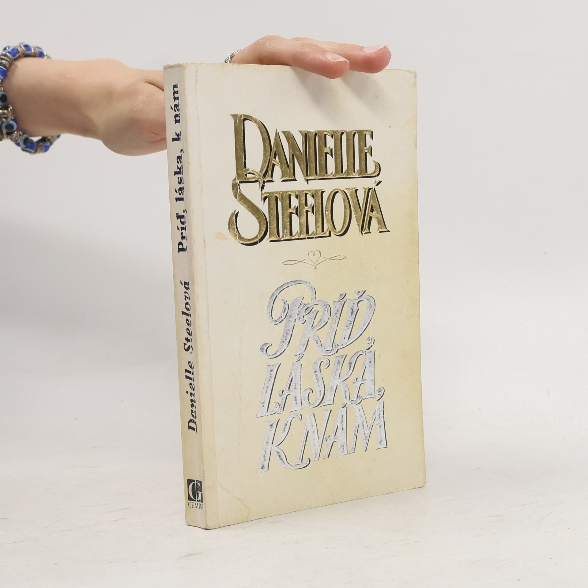 Danielle Steel Príď, láska k nám