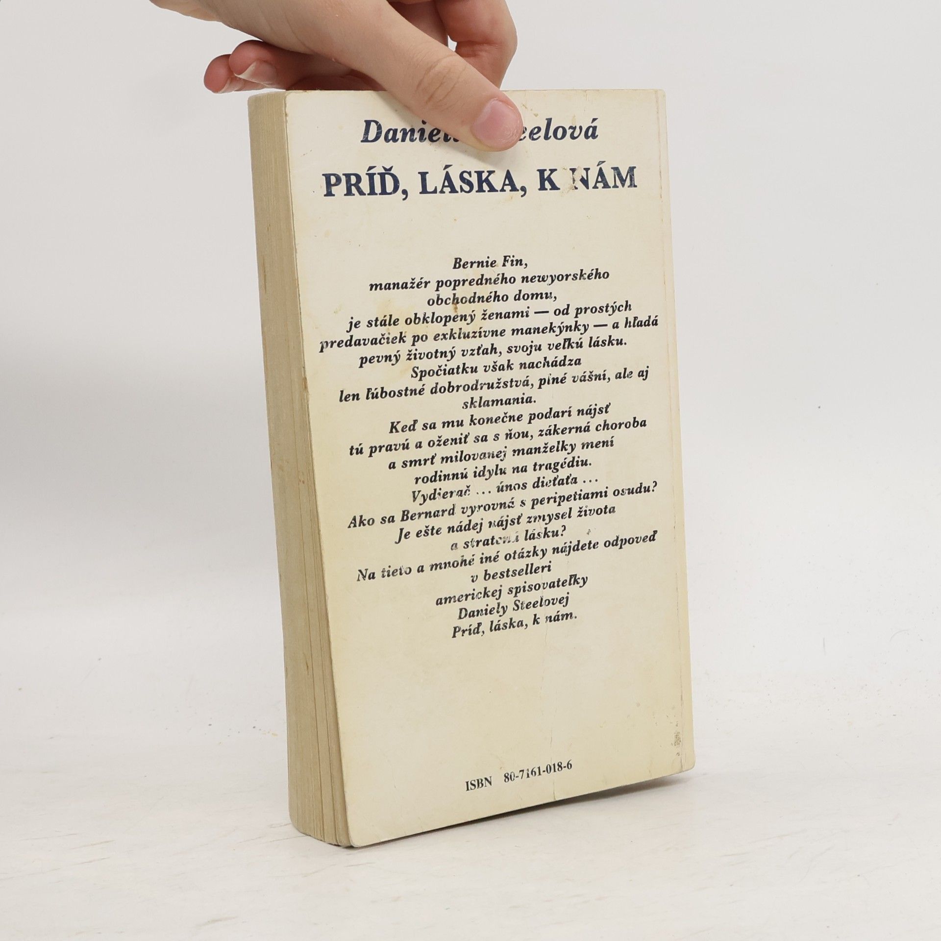 Danielle Steel Príď, láska k nám