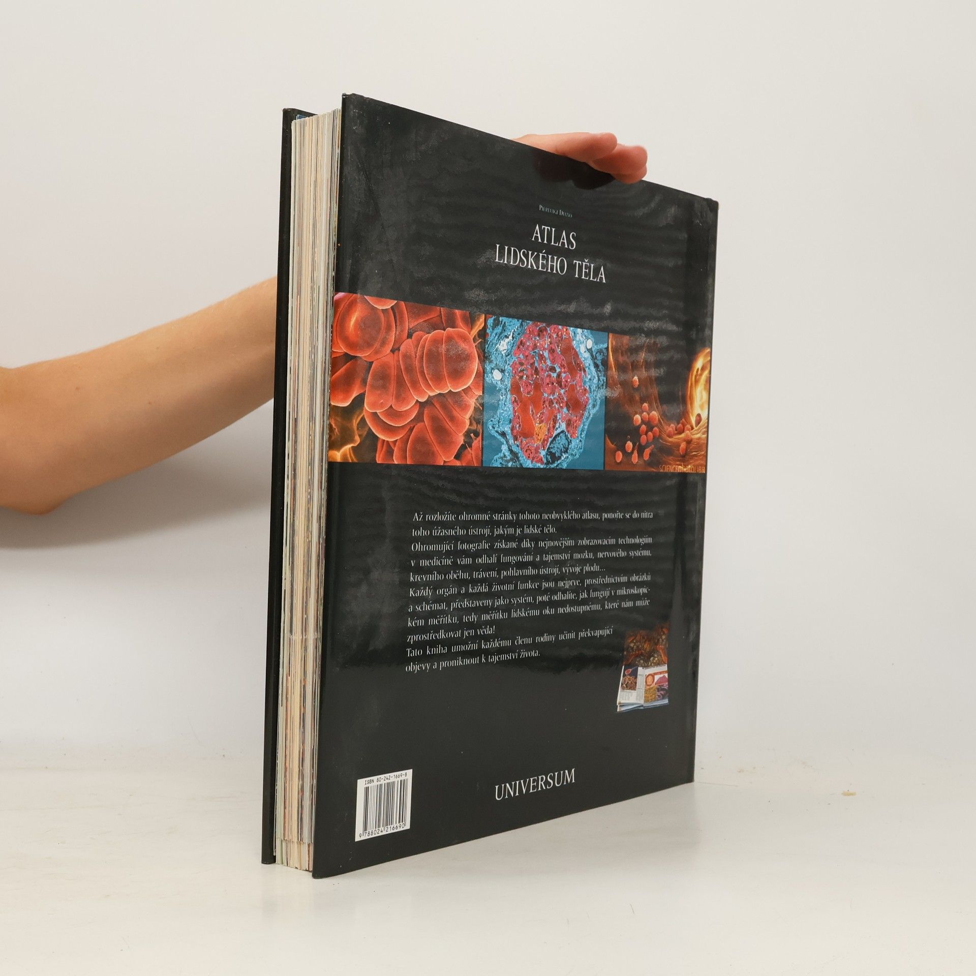 Pierluigi Diano Atlas lidského těla