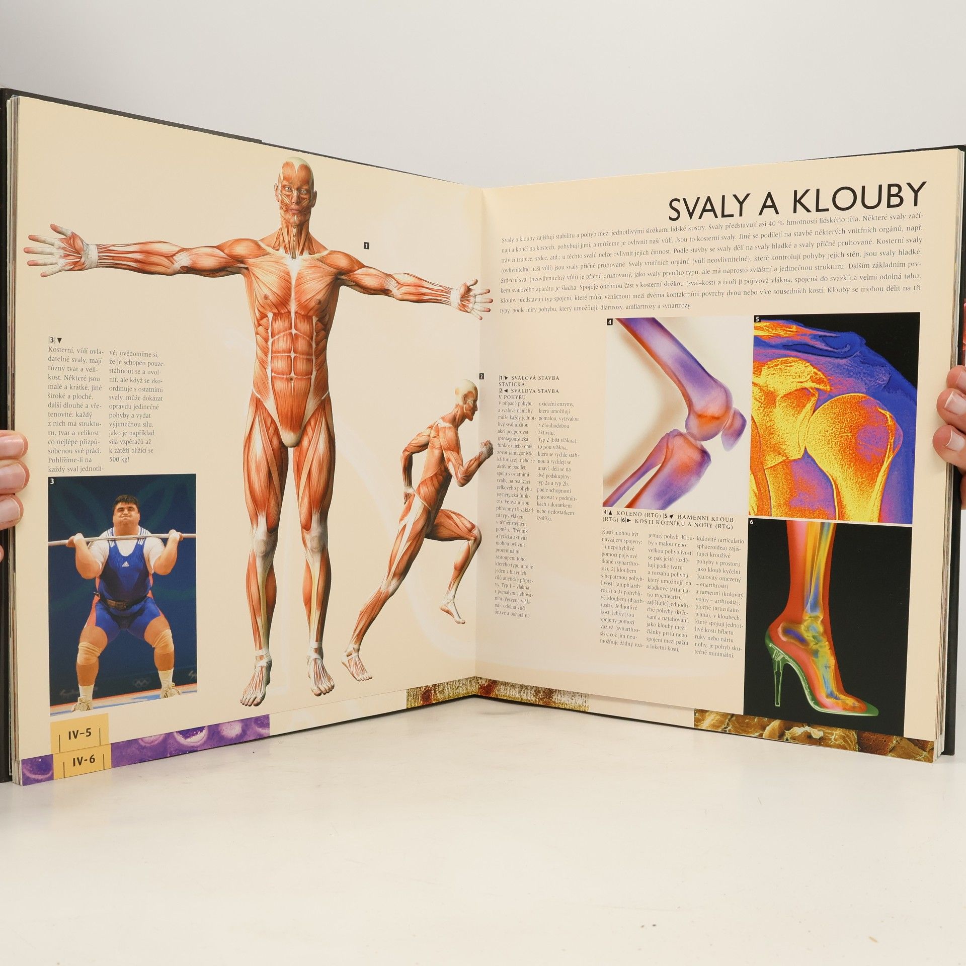 Pierluigi Diano Atlas lidského těla
