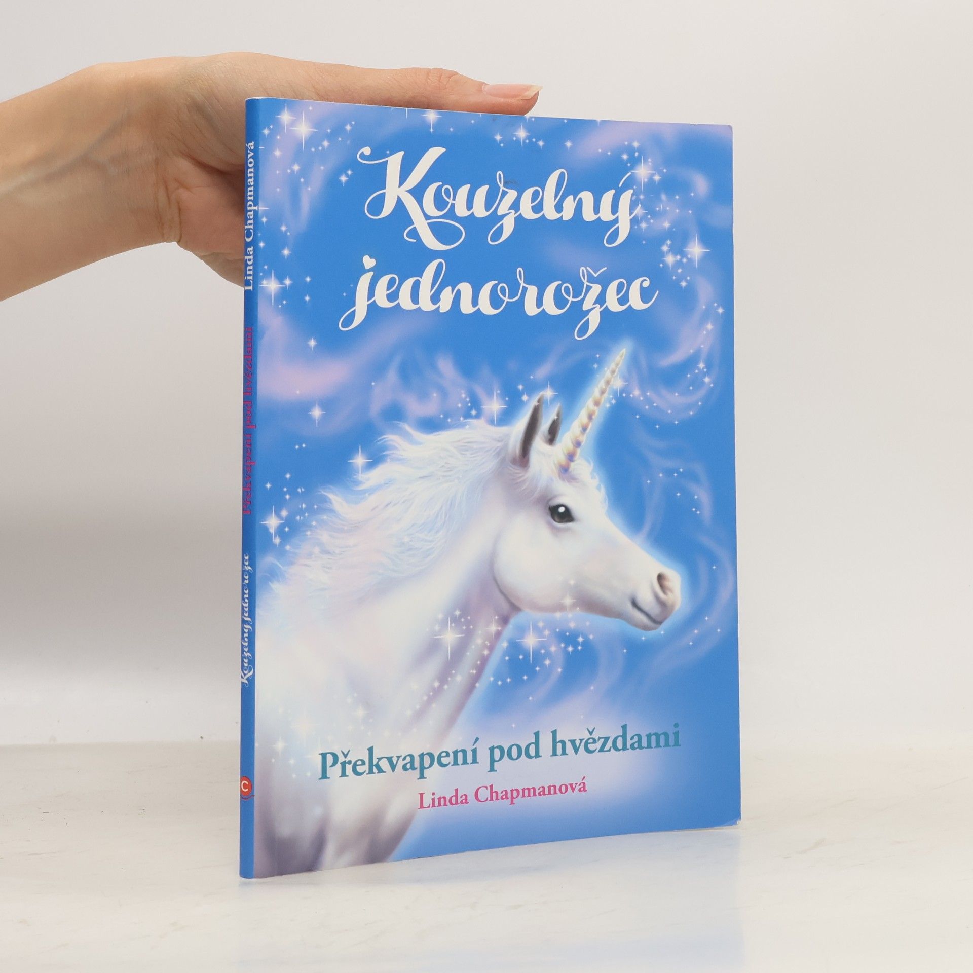 Linda Chapman Překvapení pod hvězdami