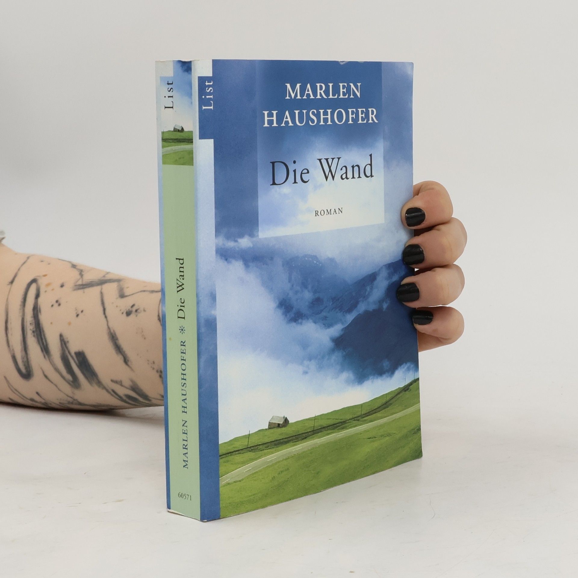 Marlen Haushofer Die Wand