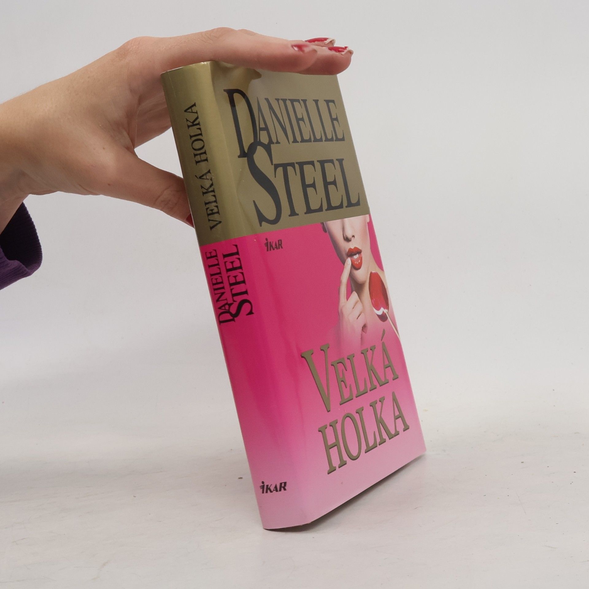 Danielle Steel Velká holka