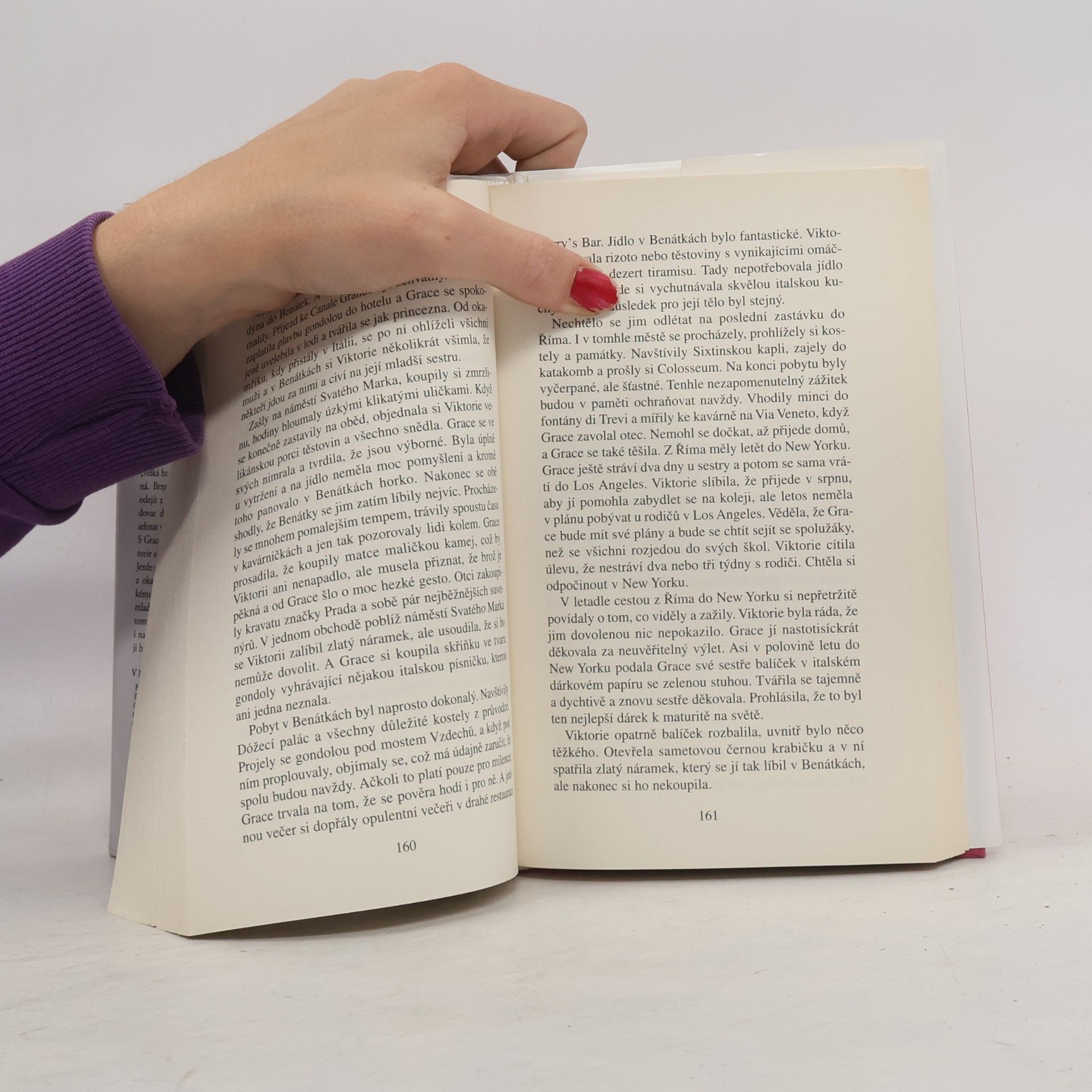 Danielle Steel Velká holka