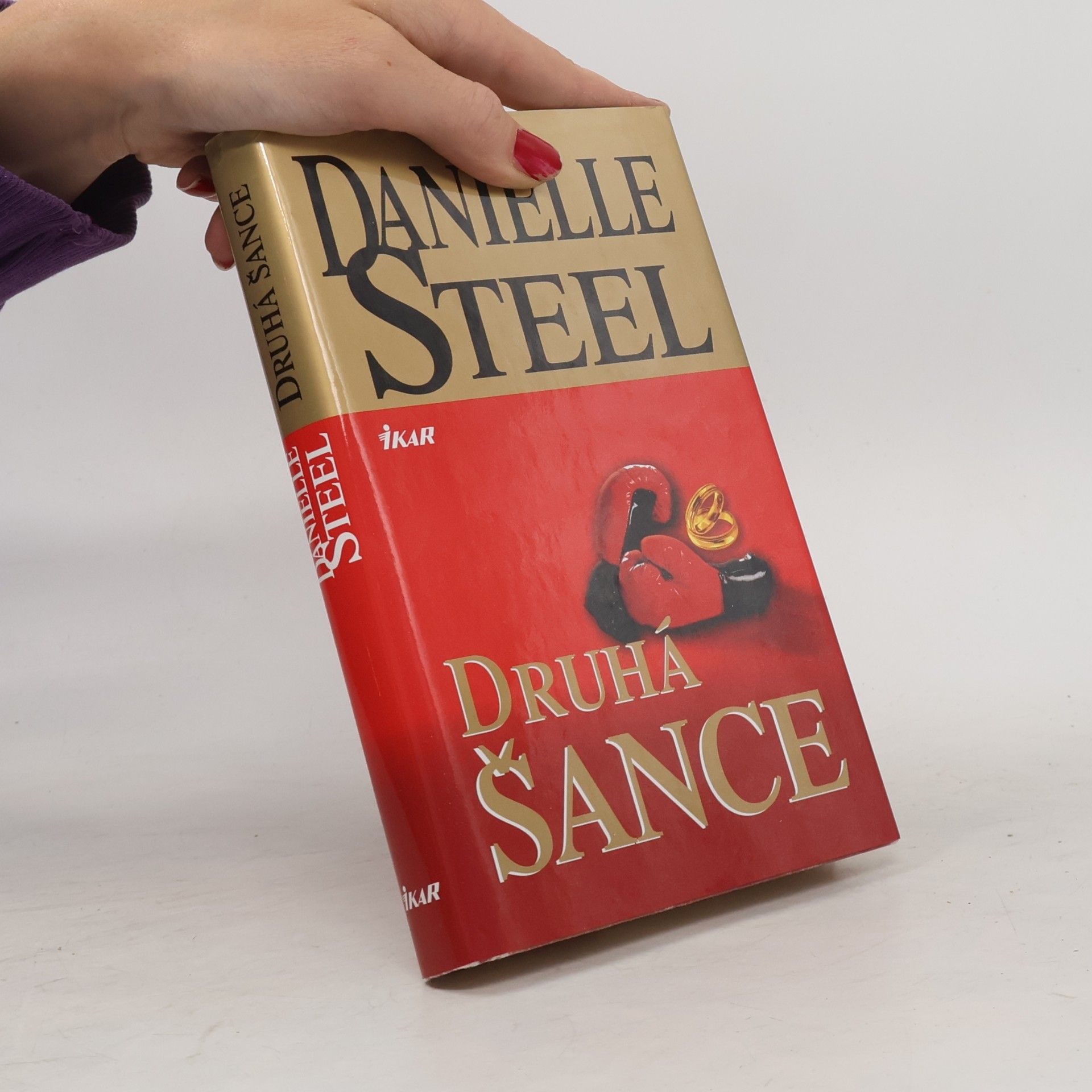 Danielle Steel Druhá šance