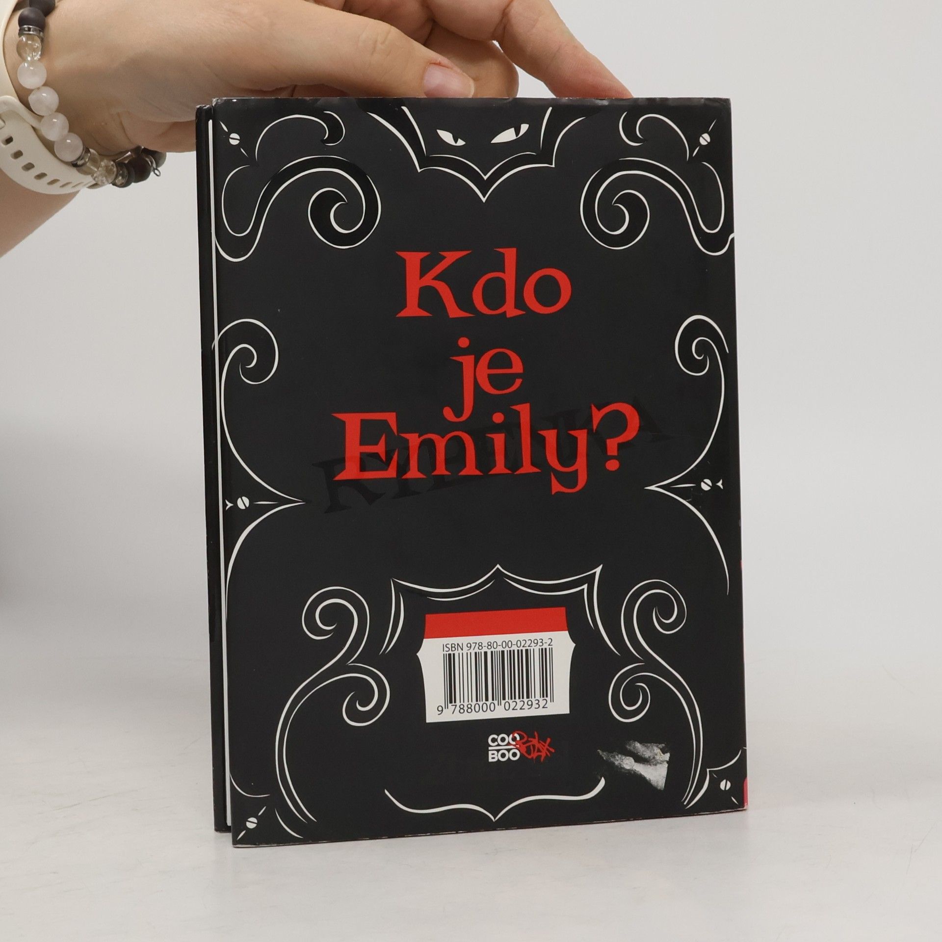 Robert Reger Emily Strange. Ztracené dny