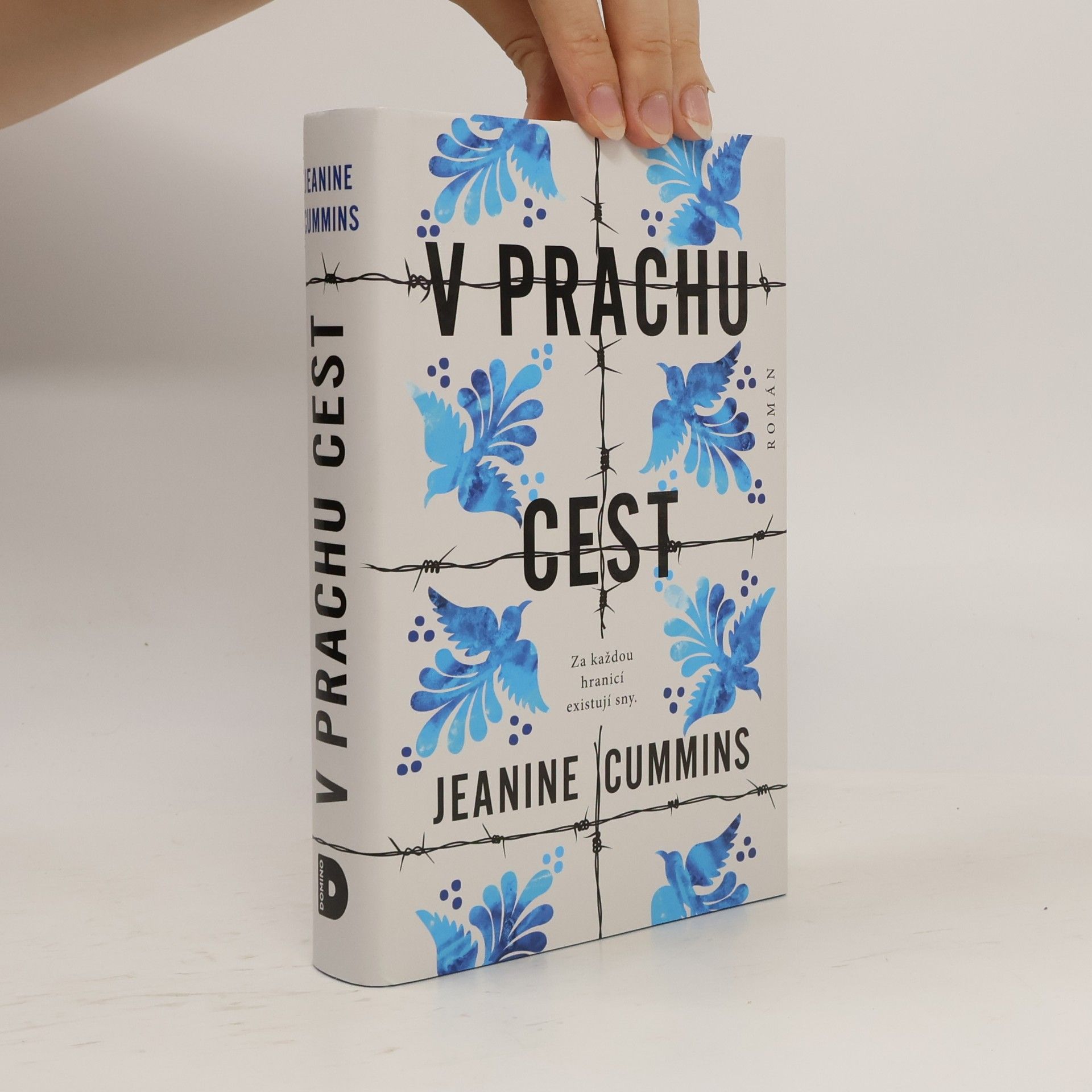 Jeanine Cummins V prachu cest