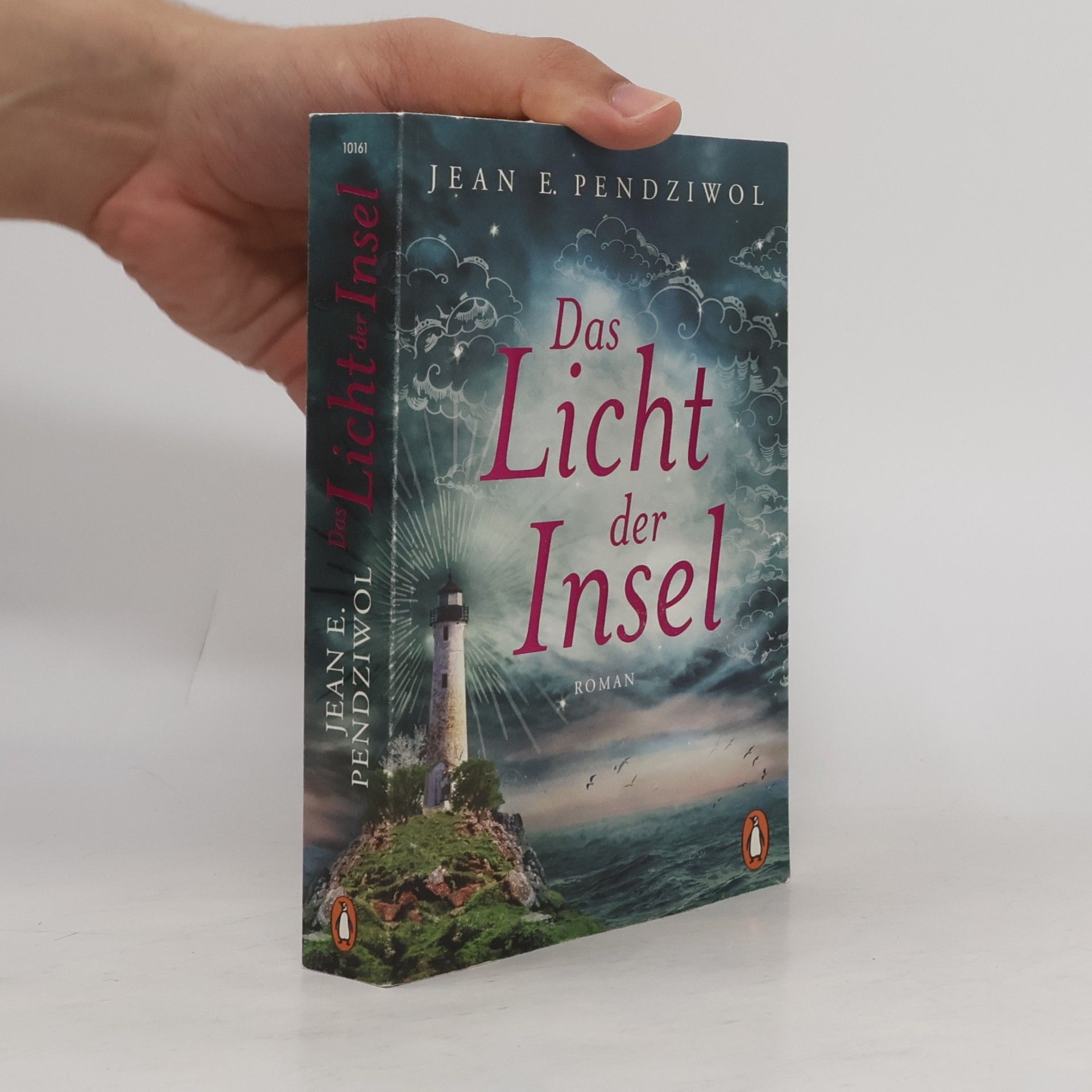 Jean Pendziwol Das Licht der Insel
