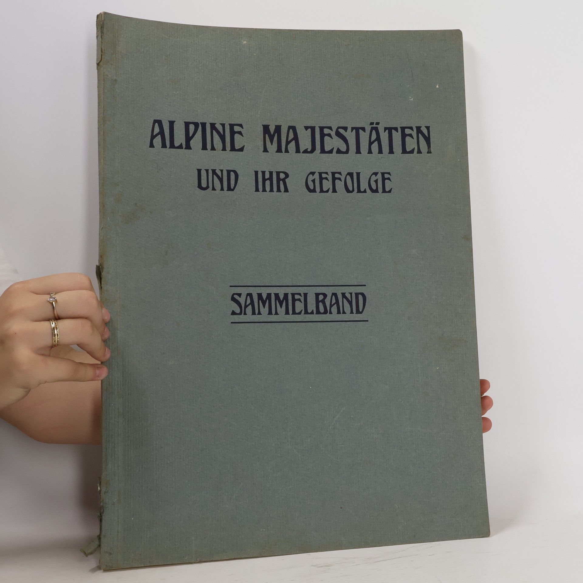 kolektiv Alpine Majestäten und ihr Gefolge. Sammelband