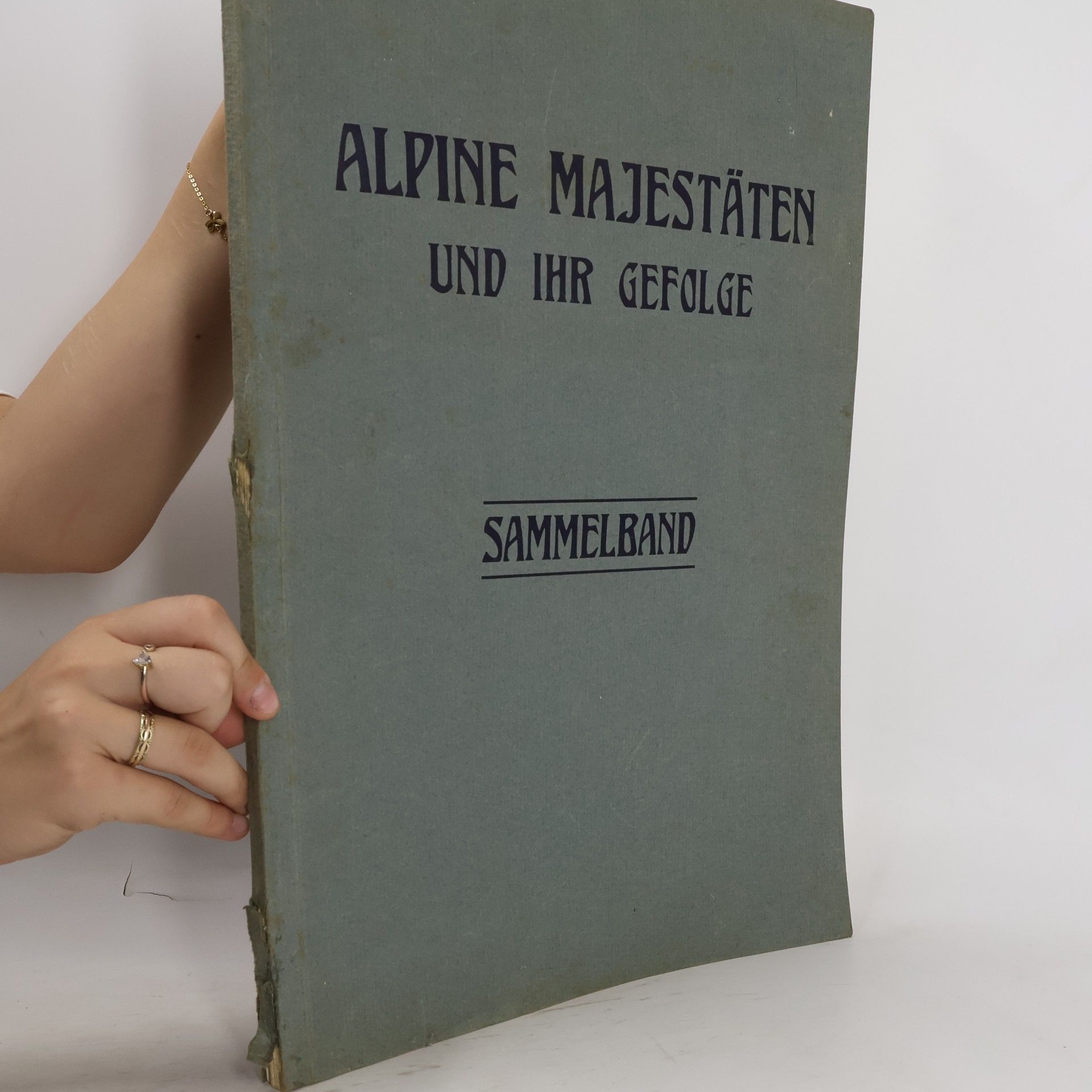 kolektiv Alpine Majestäten und ihr Gefolge. Sammelband