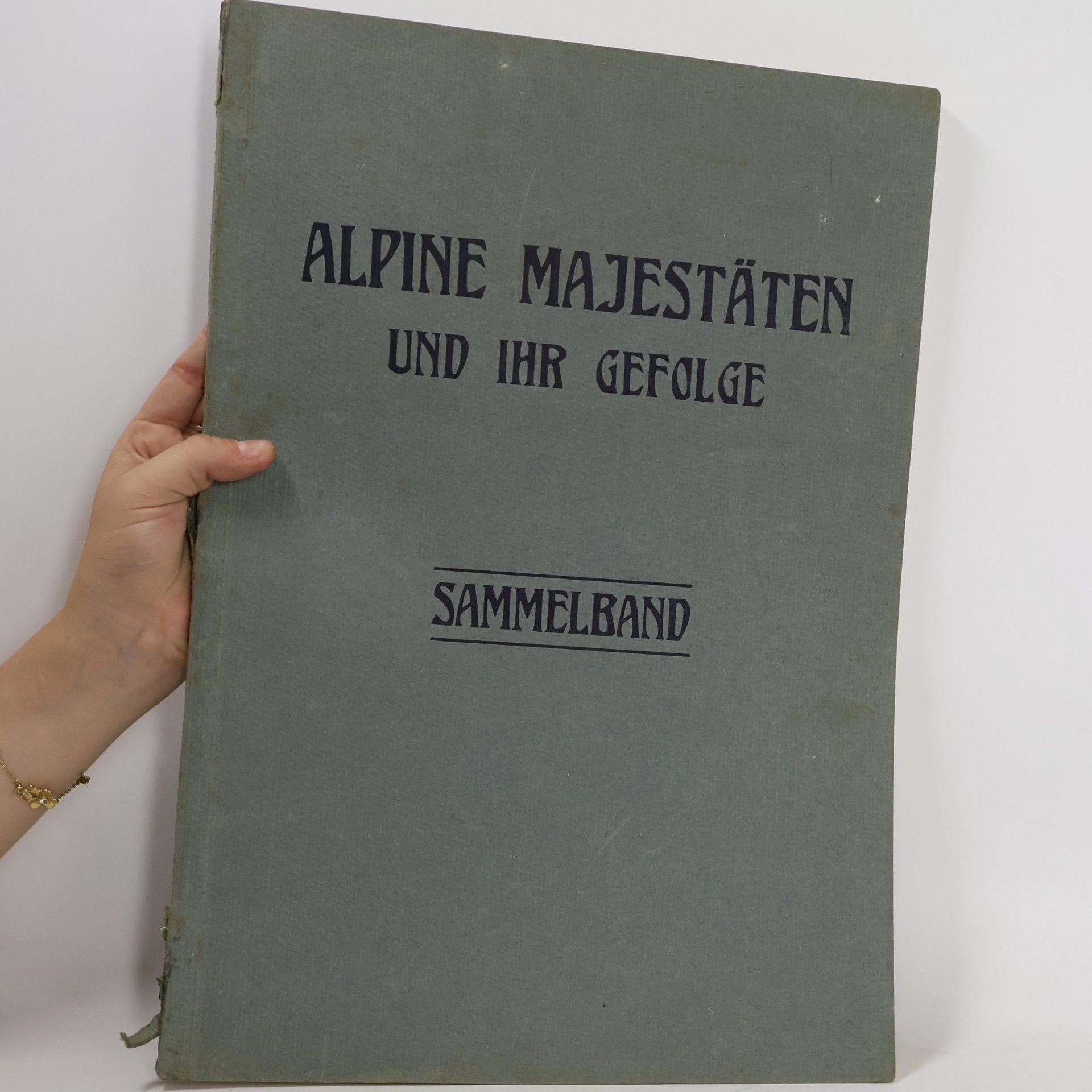 kolektiv Alpine Majestäten und ihr Gefolge. Sammelband