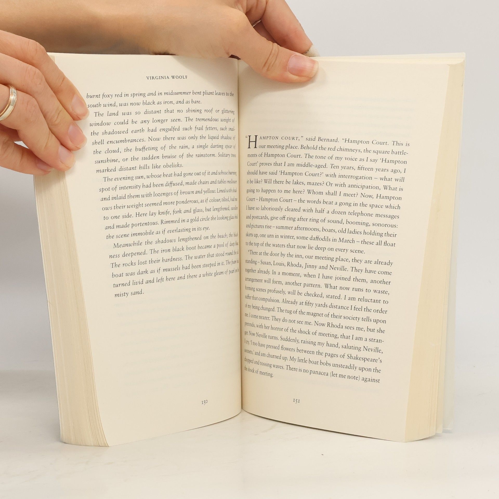 Virginia Woolf The waves