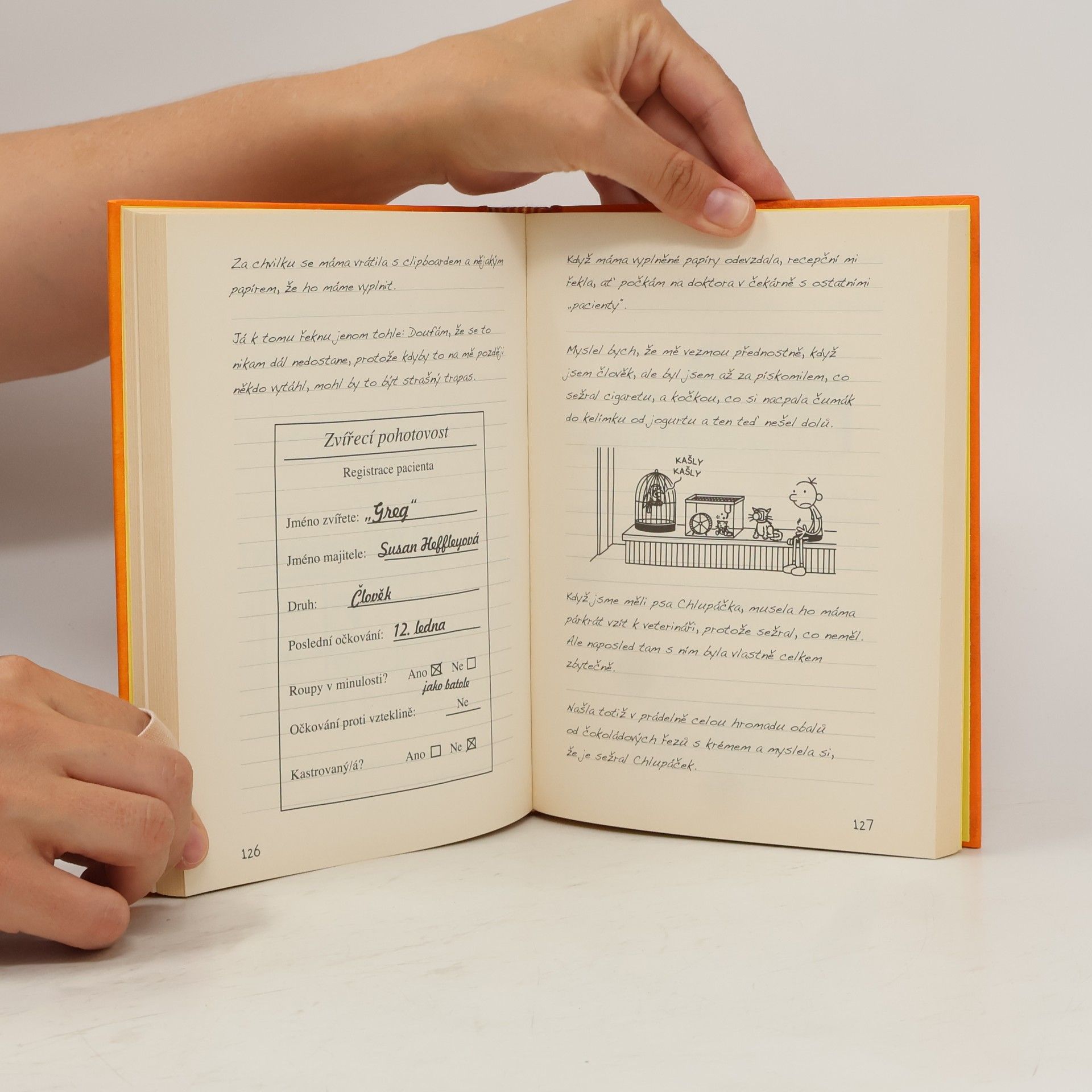 Jeff Kinney Deník malého poseroutky 9. Výlet za všechny peníze