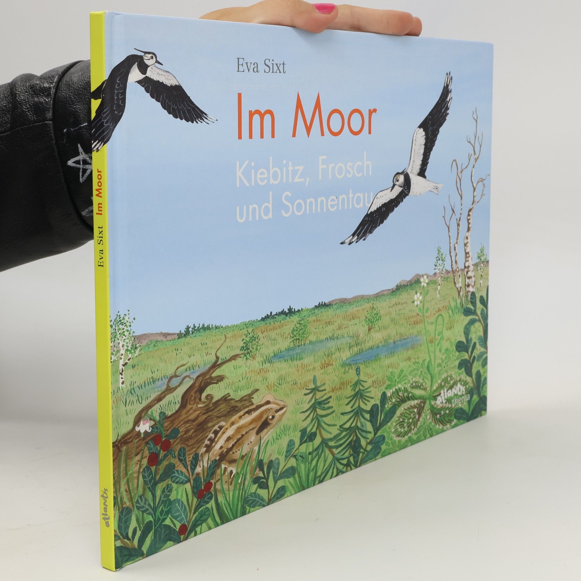 Im Moor - Kiebitz, Frosch und Sonnentau