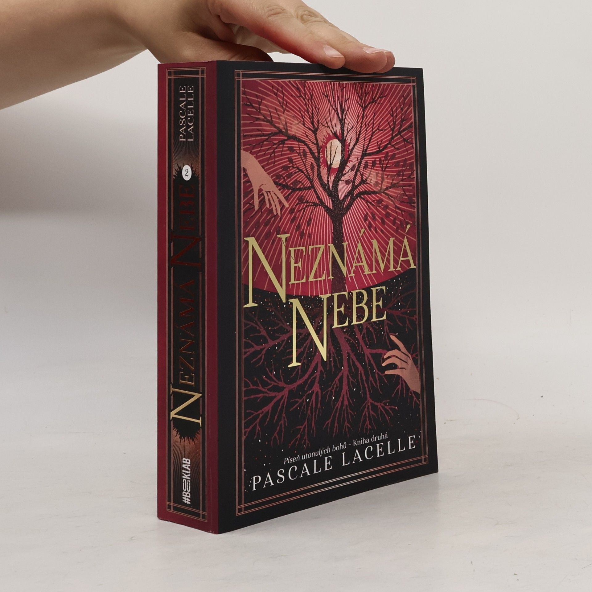 Pascale Lacelle Neznámá nebe