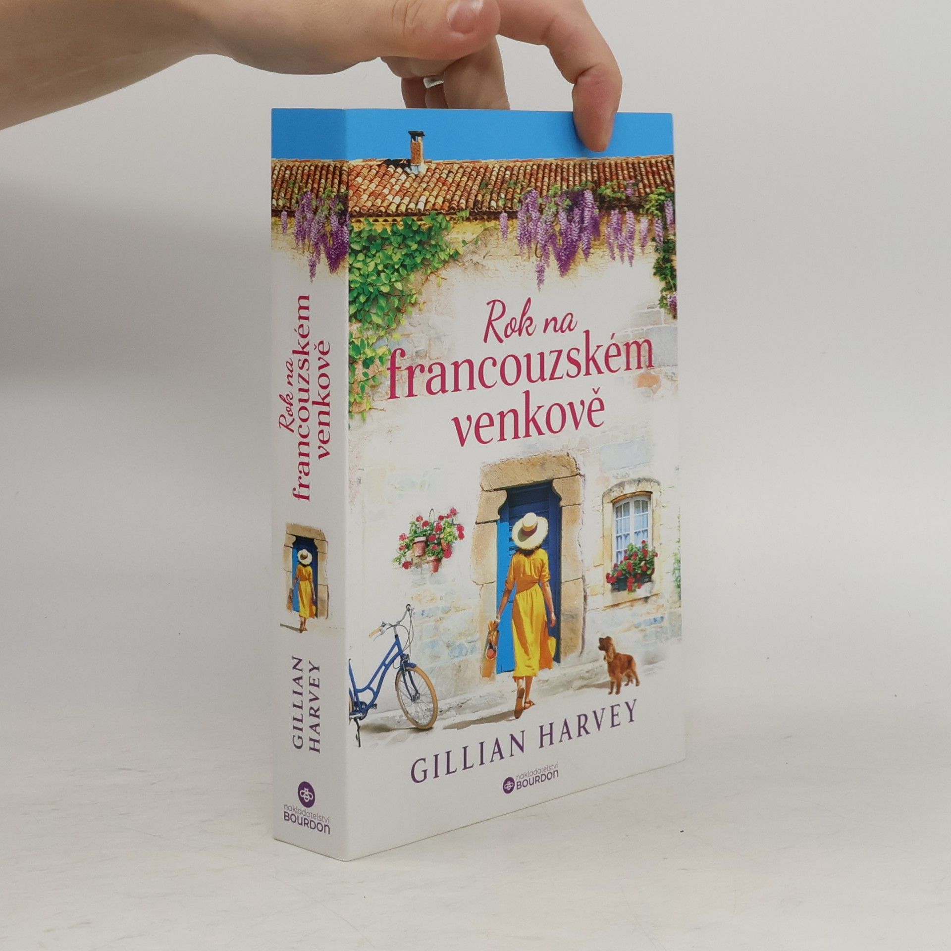 Gillian Harvey Rok na francouzském venkově