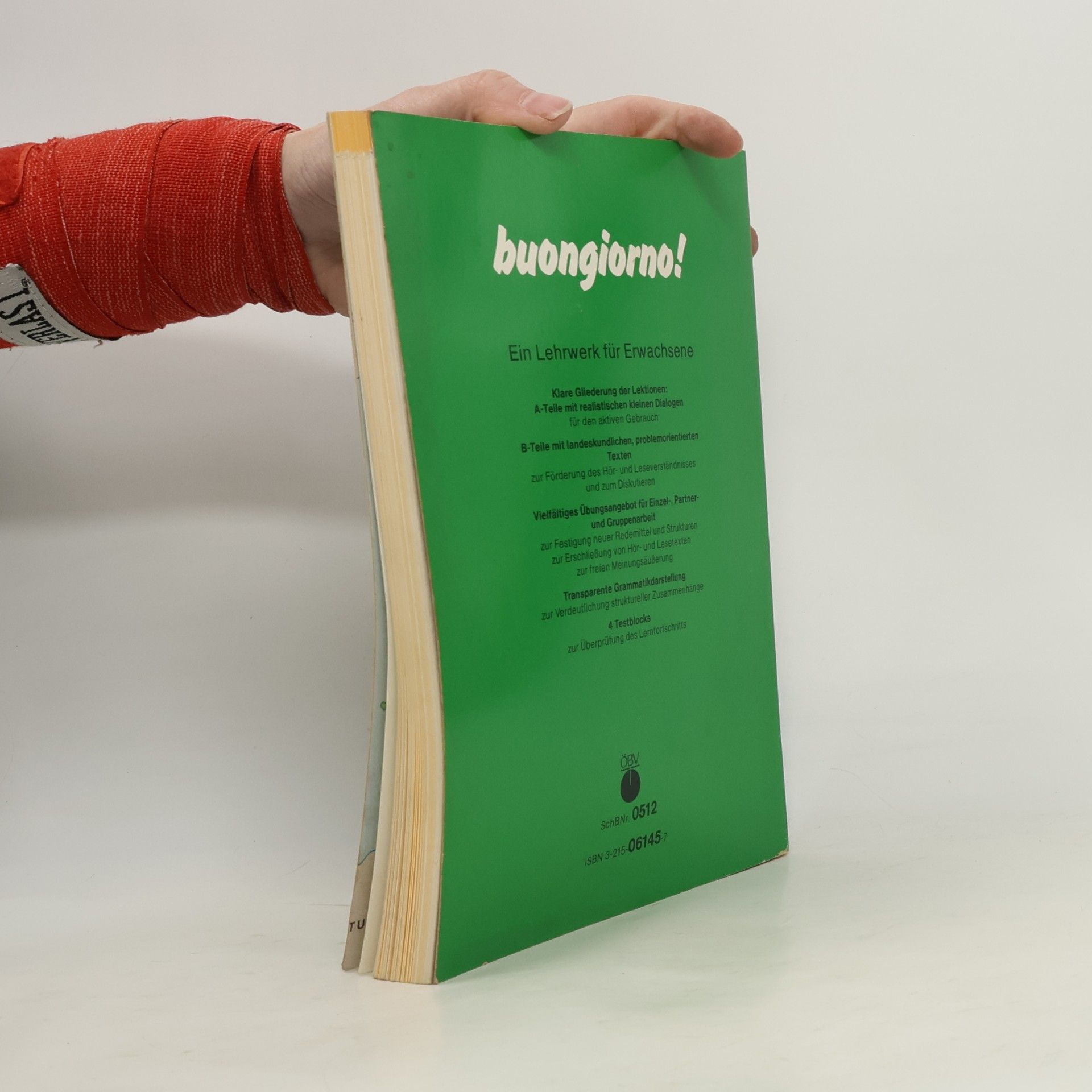Rosanna Brambilla Buongiorno! 1. Italienisch für Anfänger