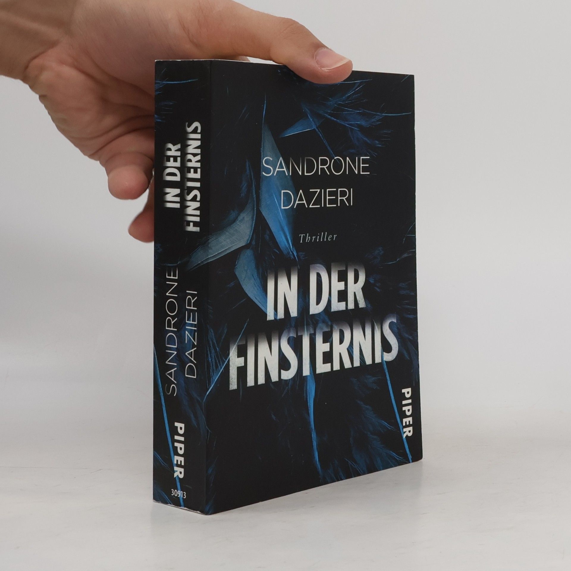 Sandrone Dazieri In der Finsternis