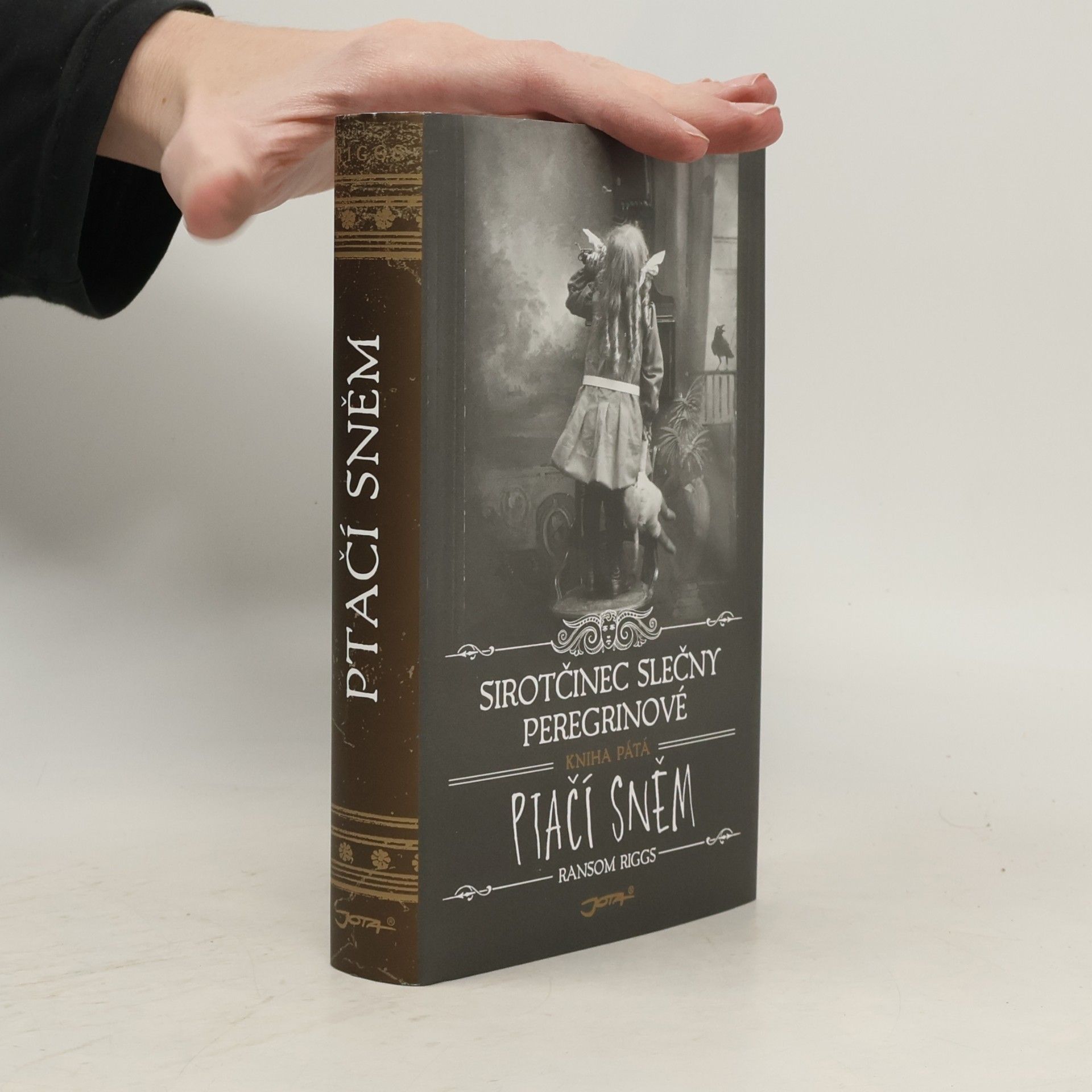 Ransom Riggs Ptačí sněm
