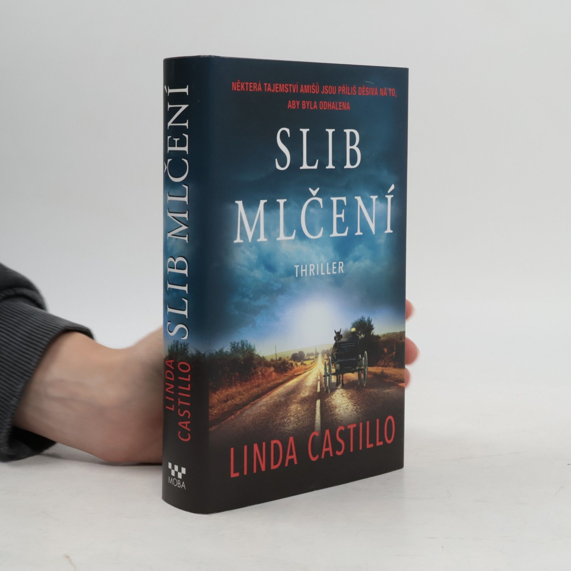 Linda Castillo Slib mlčení