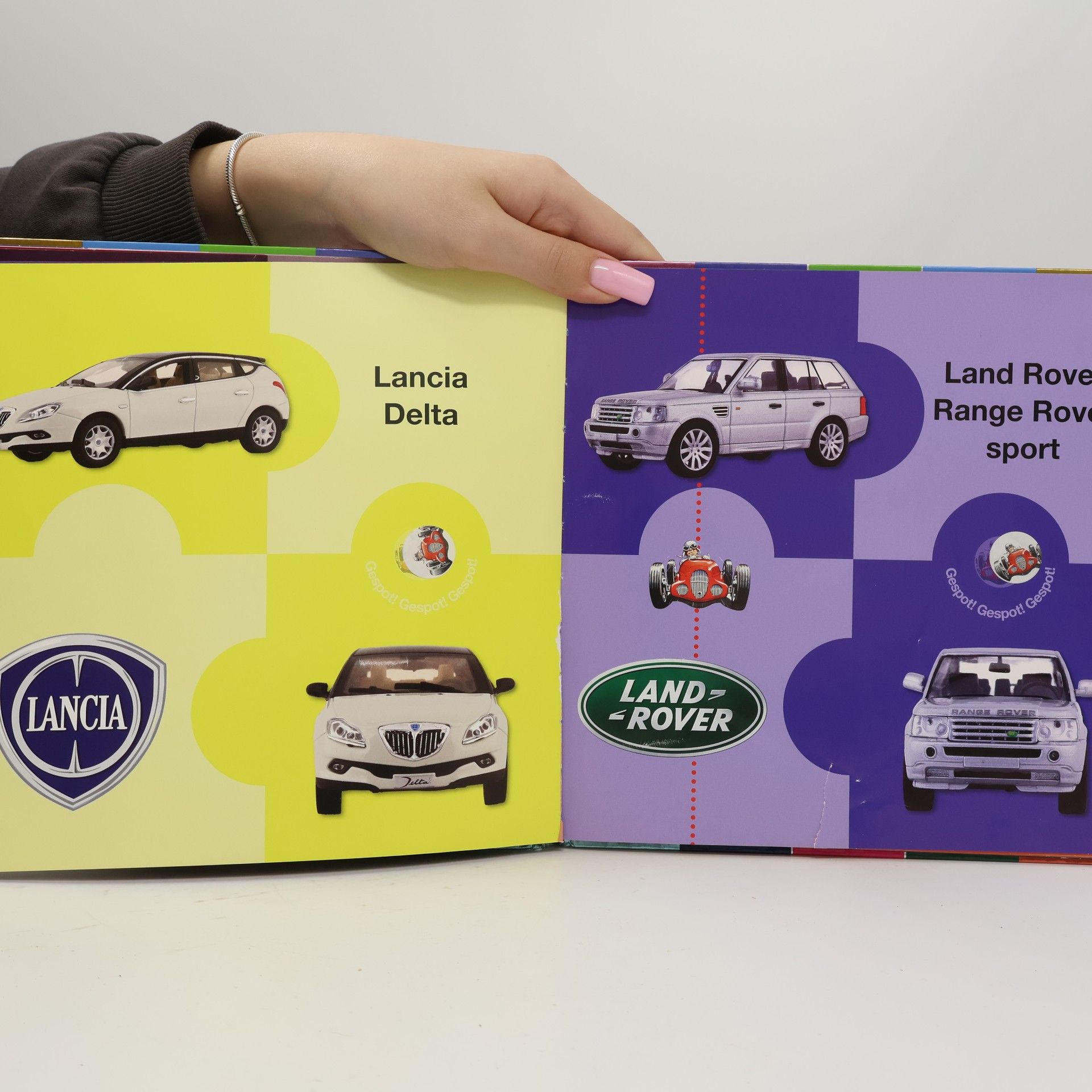 Herien Tjabbes Basil's autoboek
