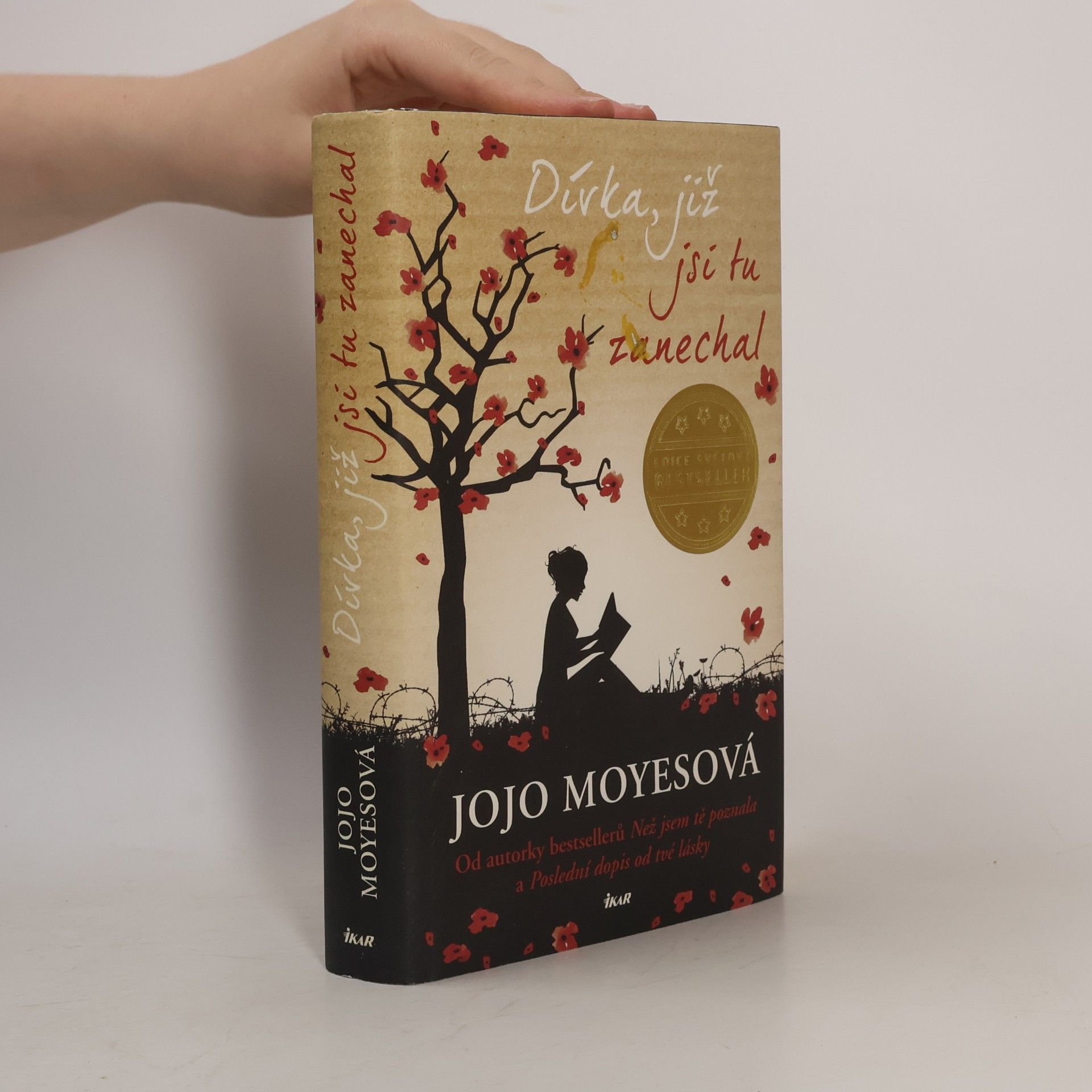 Jojo Moyes Dívka, již jsi tu zanechal