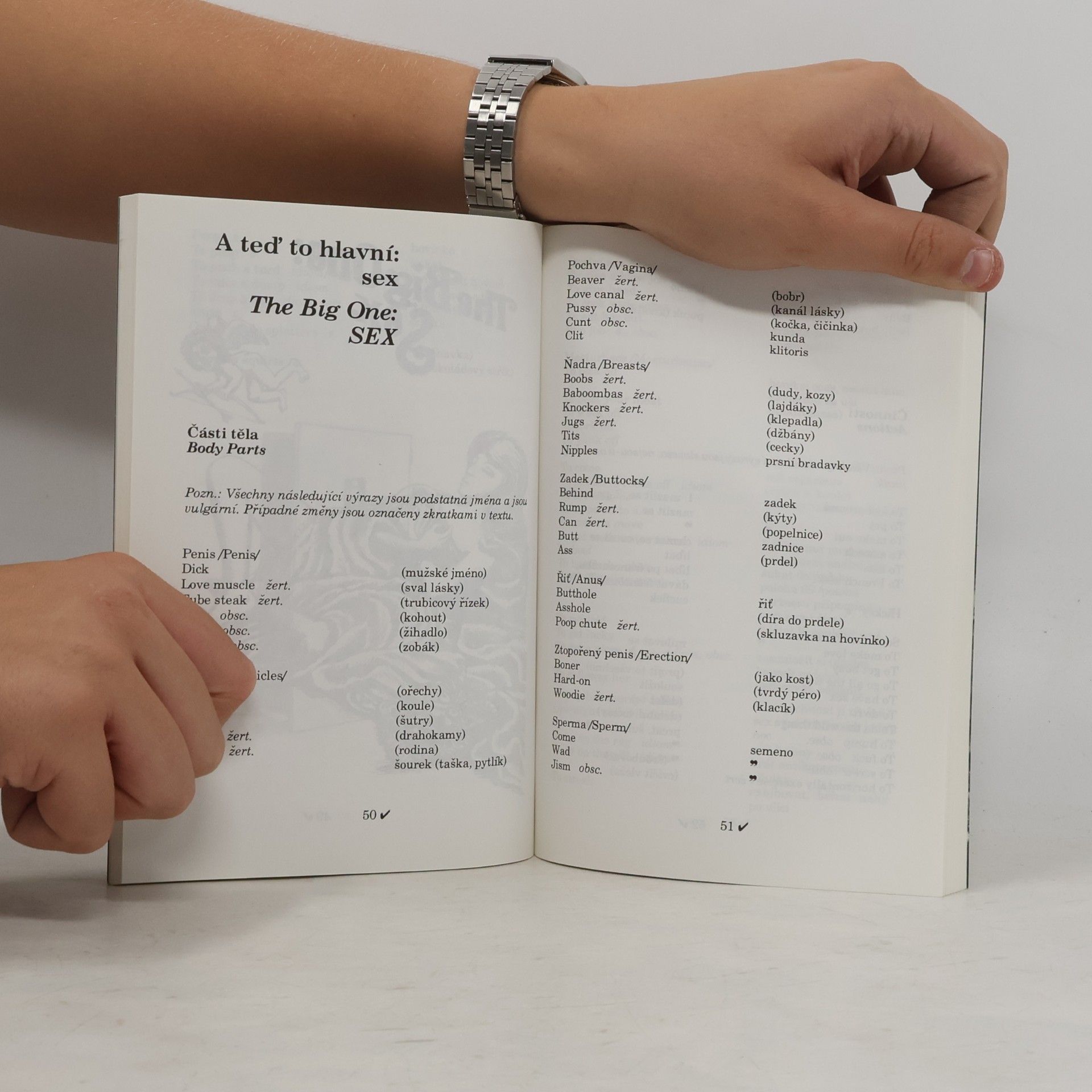 Sinclair Nicholas Wang dang americký slang. Wang dang American Slang