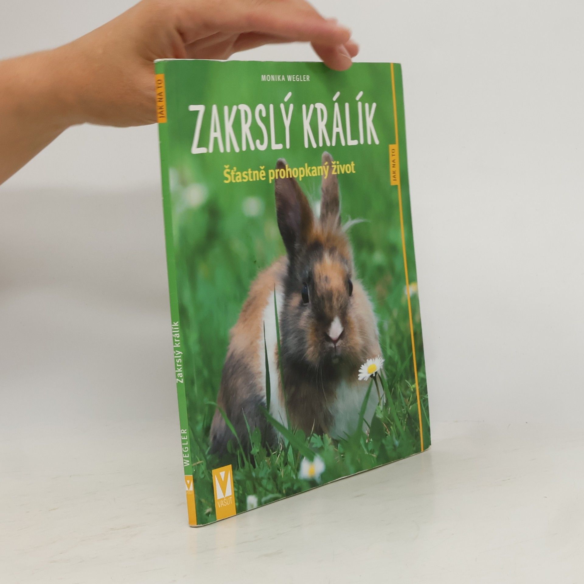 Monika Wegler Zakrslý králík