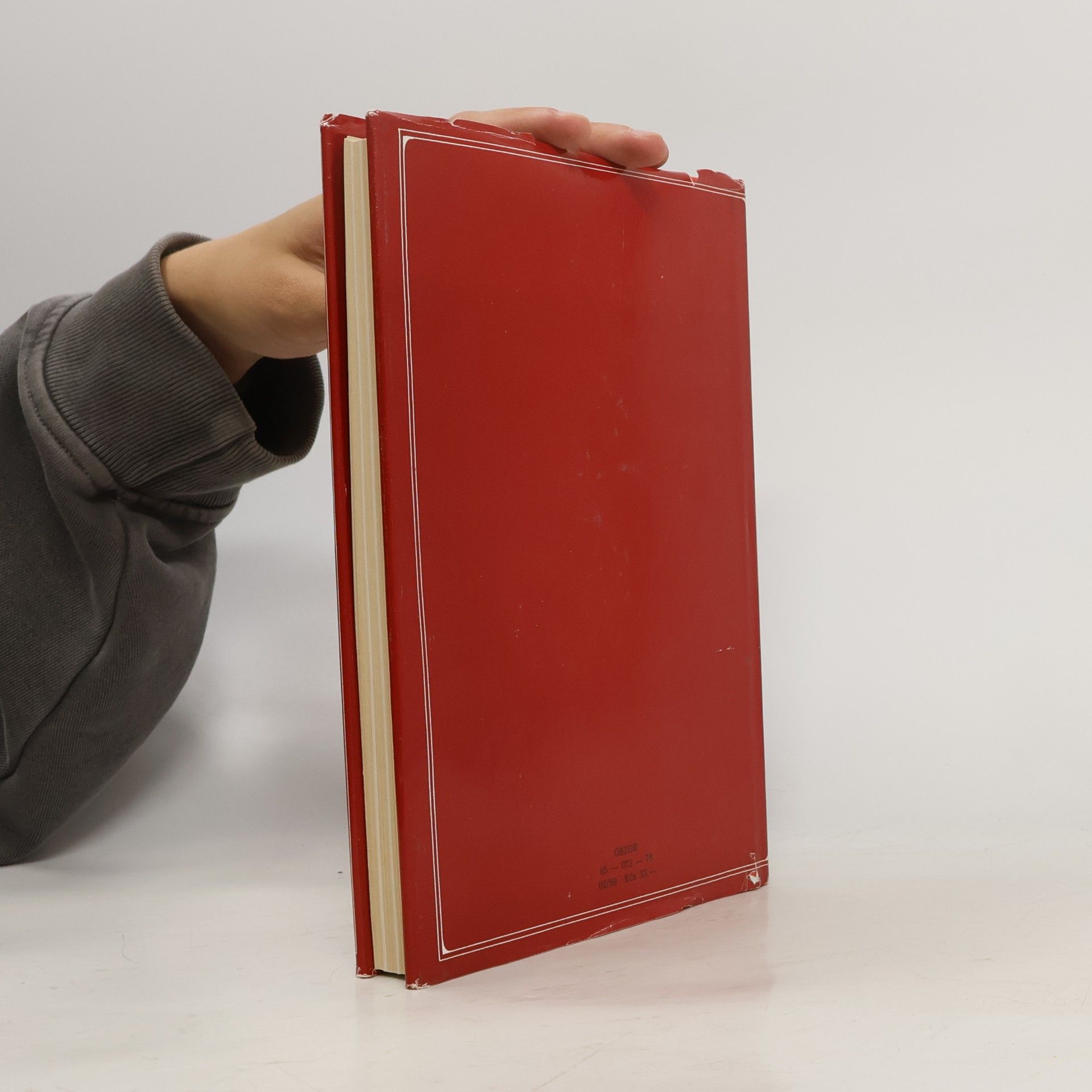 Autores varios Kultúrny rozvoj Slovenska