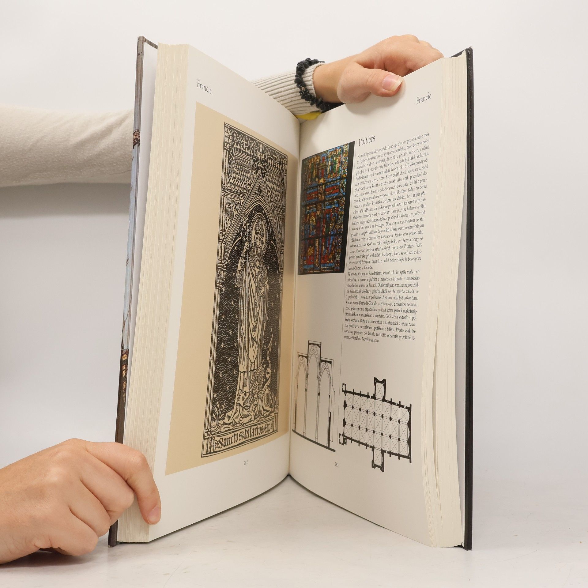 Various authors Skvosty Evropy: Katedrály - kláštery - poutní místa