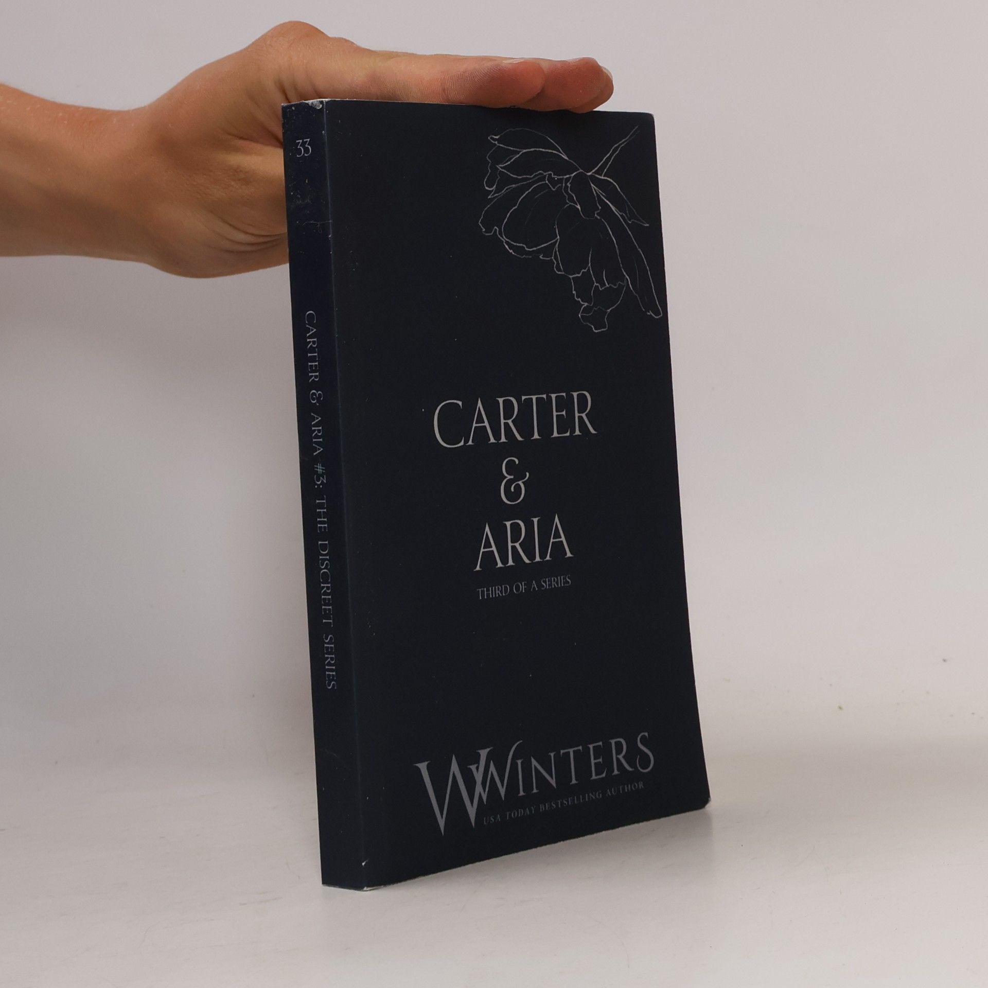 Willow Winters The Discreet Series - 3: Carter & Aria
