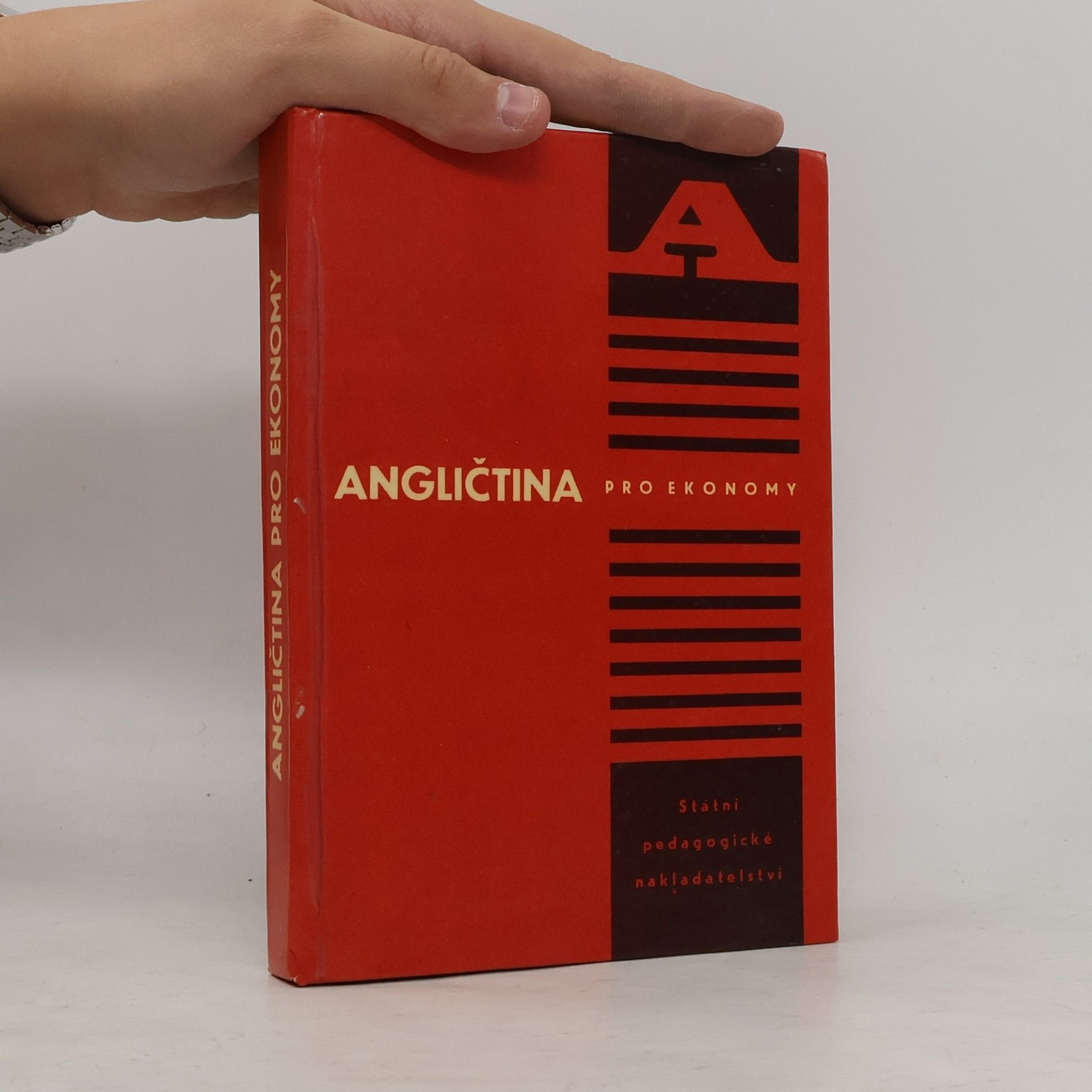 Vladimír Irgl Angličtina pro ekonomy