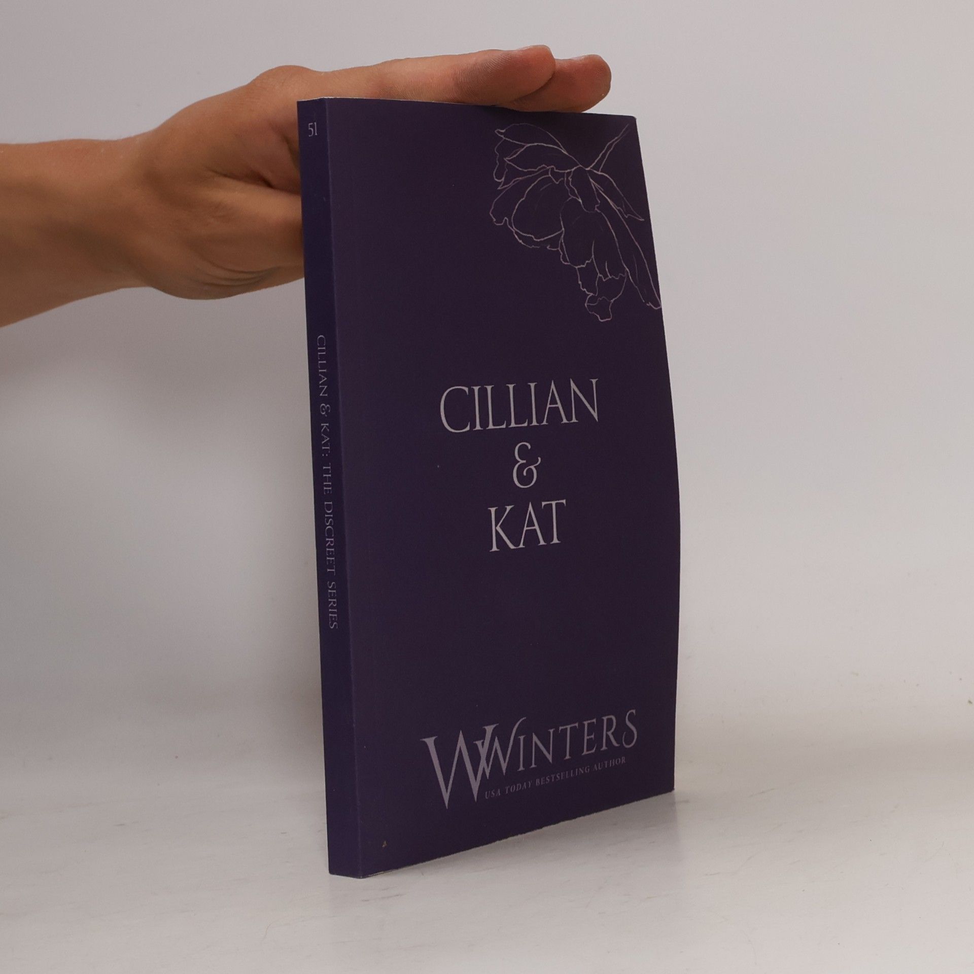 Willow Winters The Discreet Series - 51: Cillian & Kat