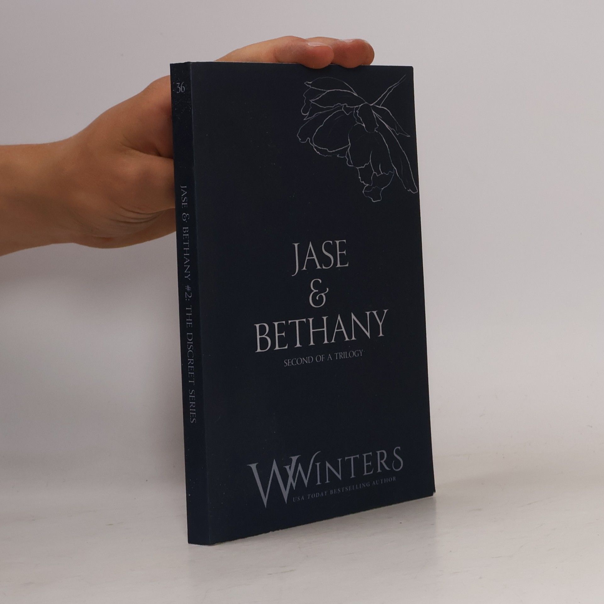 Willow Winters The Discreet Series - 2: Jase & Bethany
