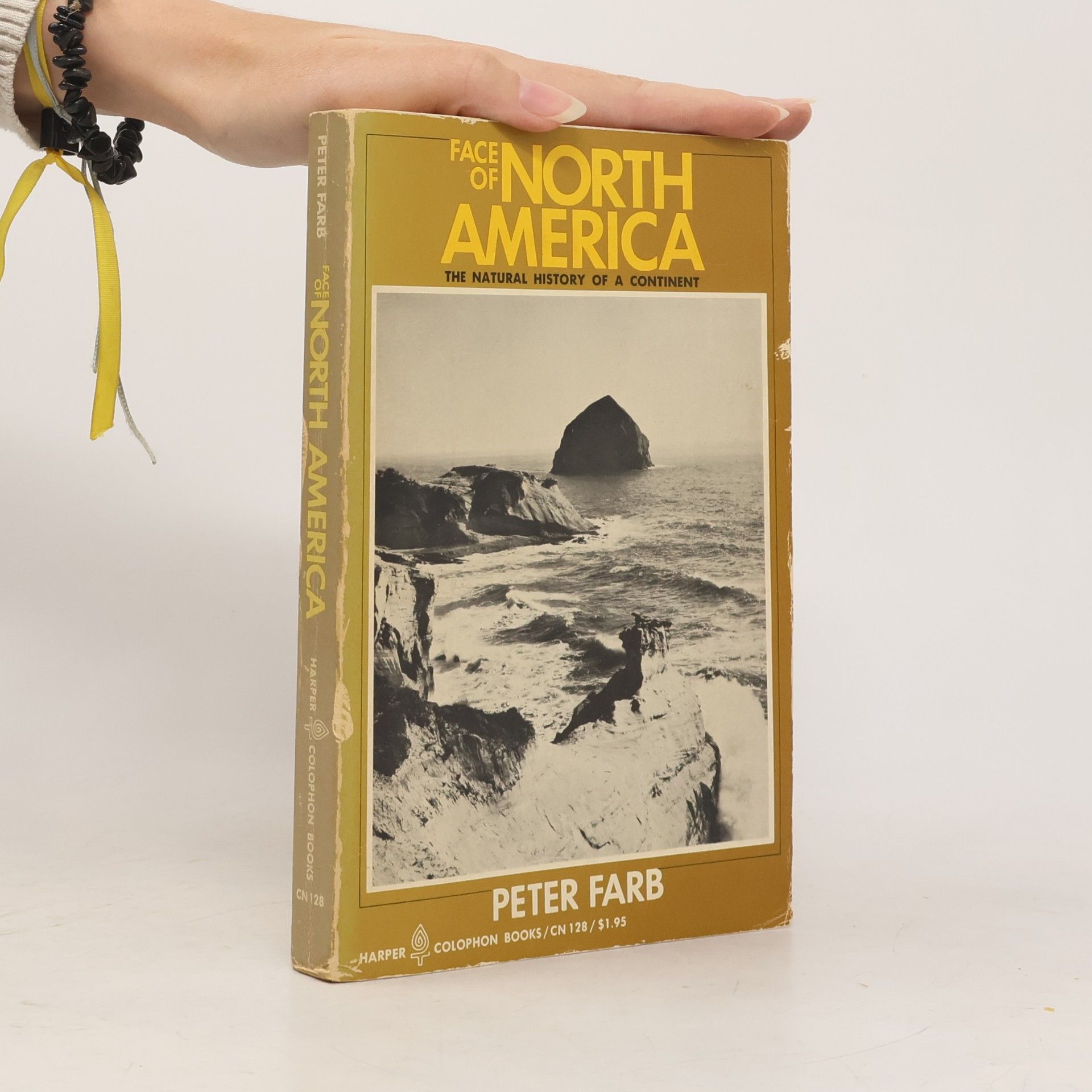 Face Of North America