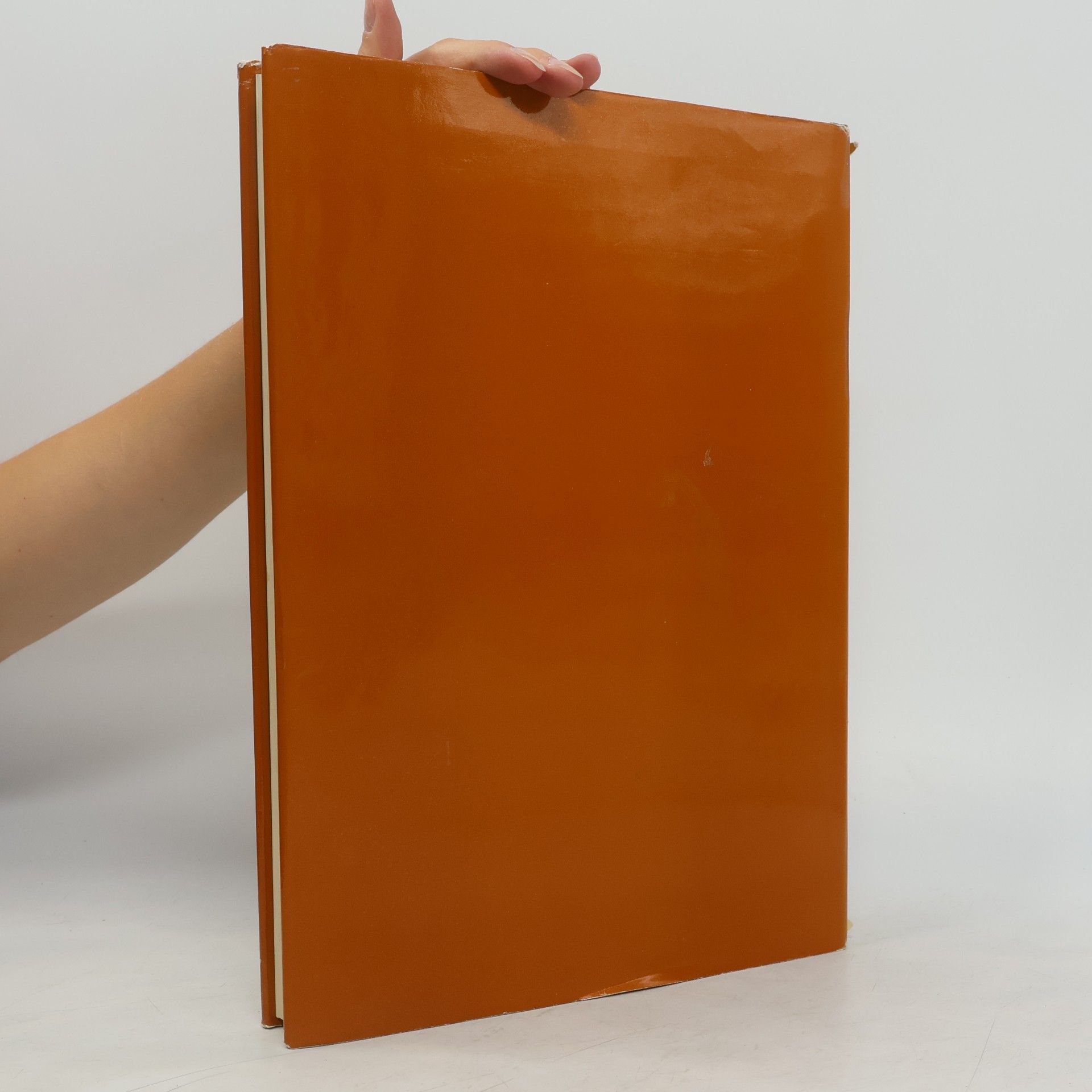 Various authors Die Tretjakow-Galerie