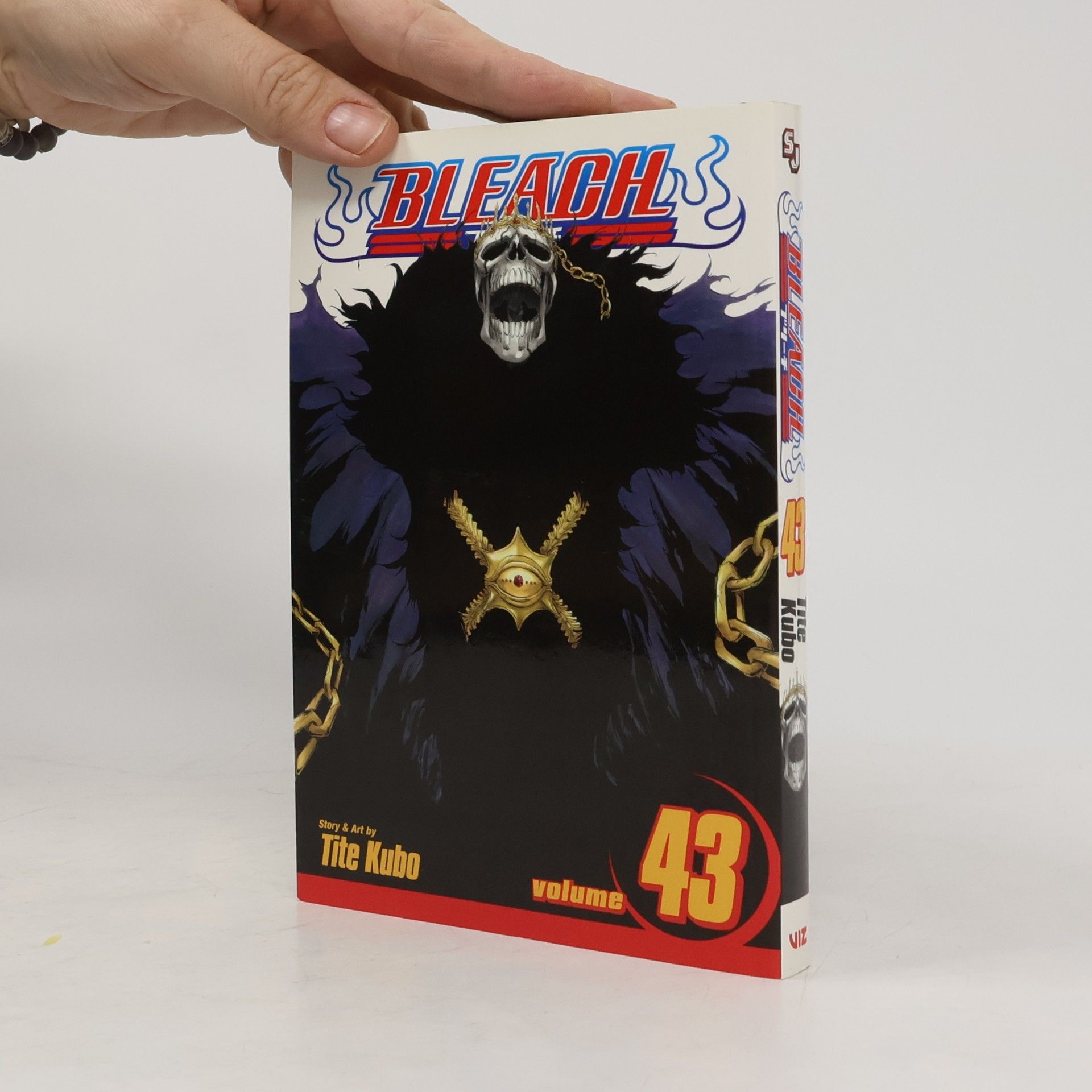 Tite Kubo Bleach 43