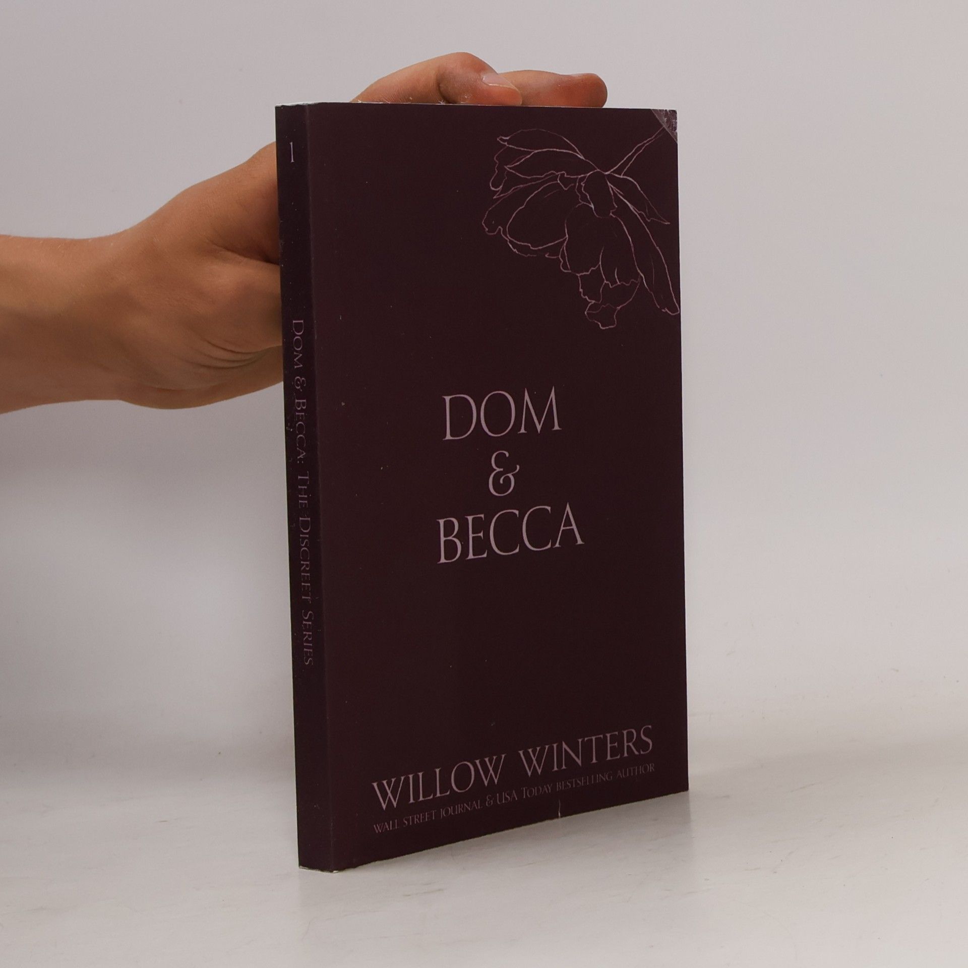 Willow Winters The Discreet Series - 1: Dom & Becca
