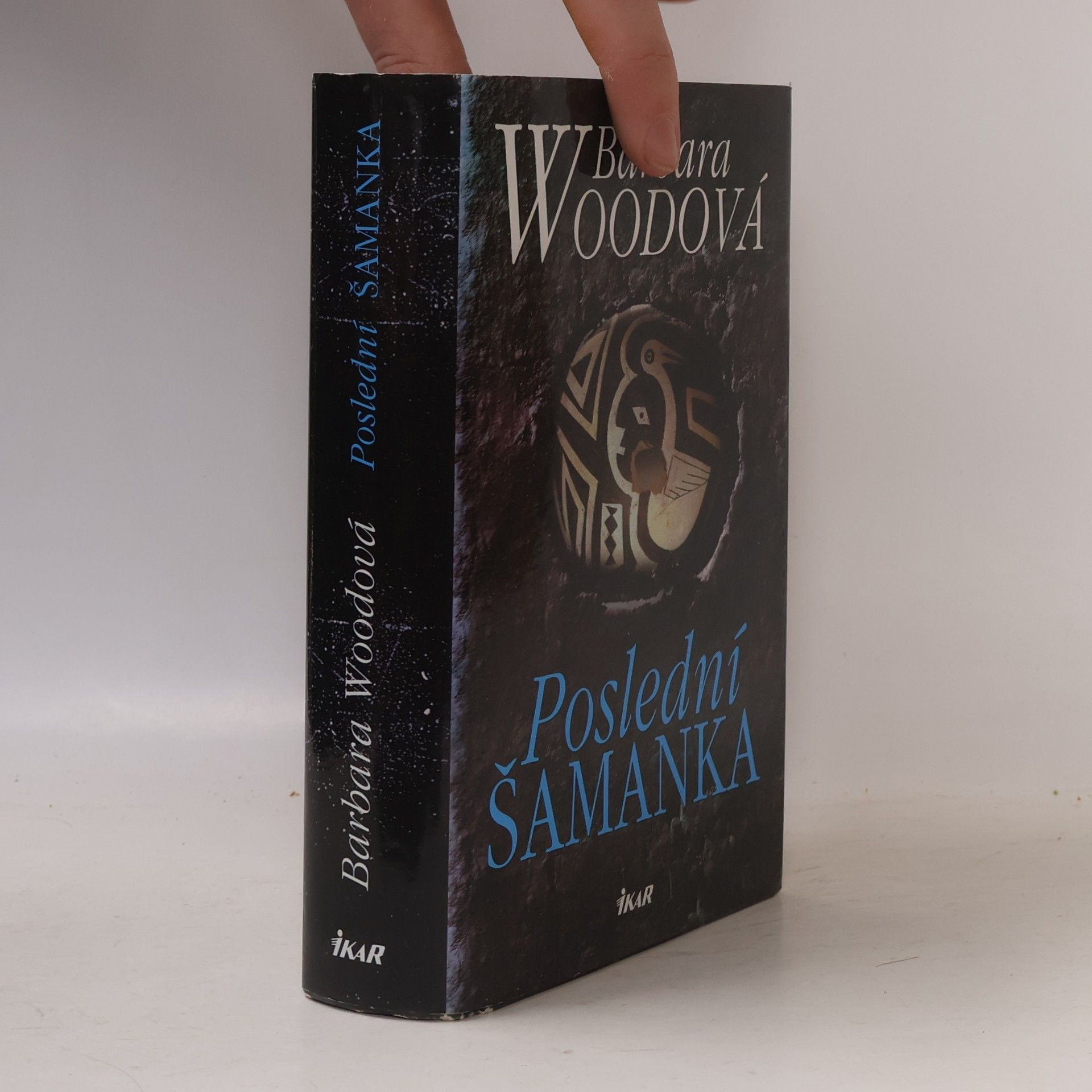Barbara Wood Poslední šamanka