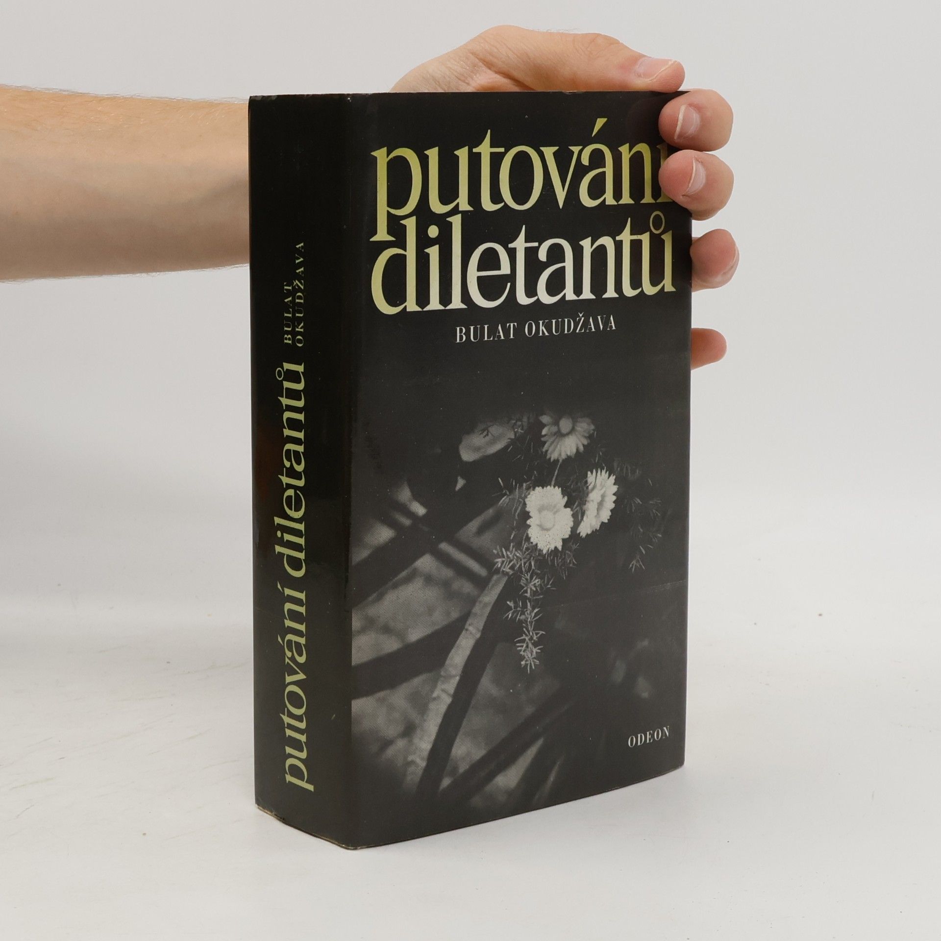 Putování diletantů